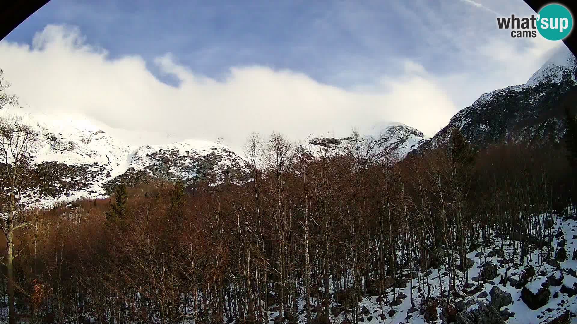 Cámara web PLANINA RAZOR (1315) | vista a Vogel y Globoko