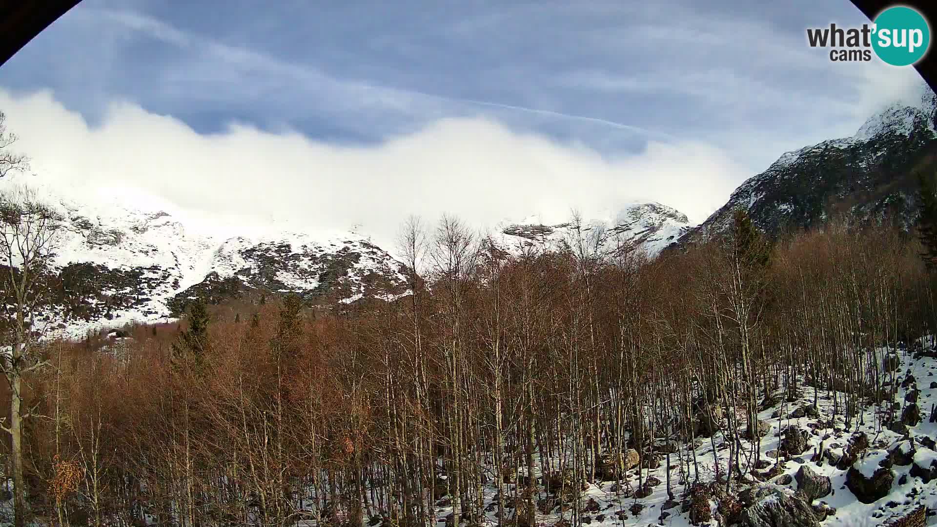 Webcam PLANINA RAZOR (1315) | Blick auf Vogel und Globoko