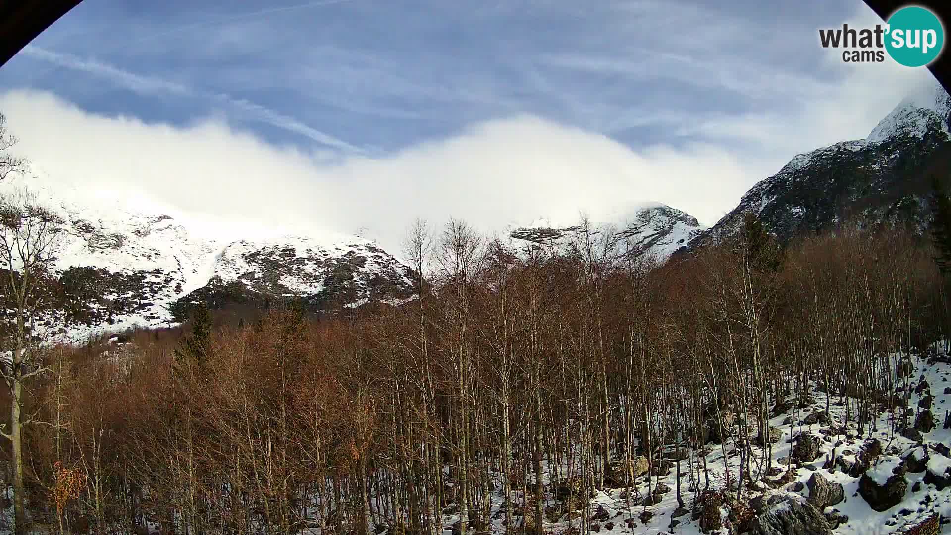 Livecam PLANINA RAZOR (1315) | vue sur Vogel et Globoko
