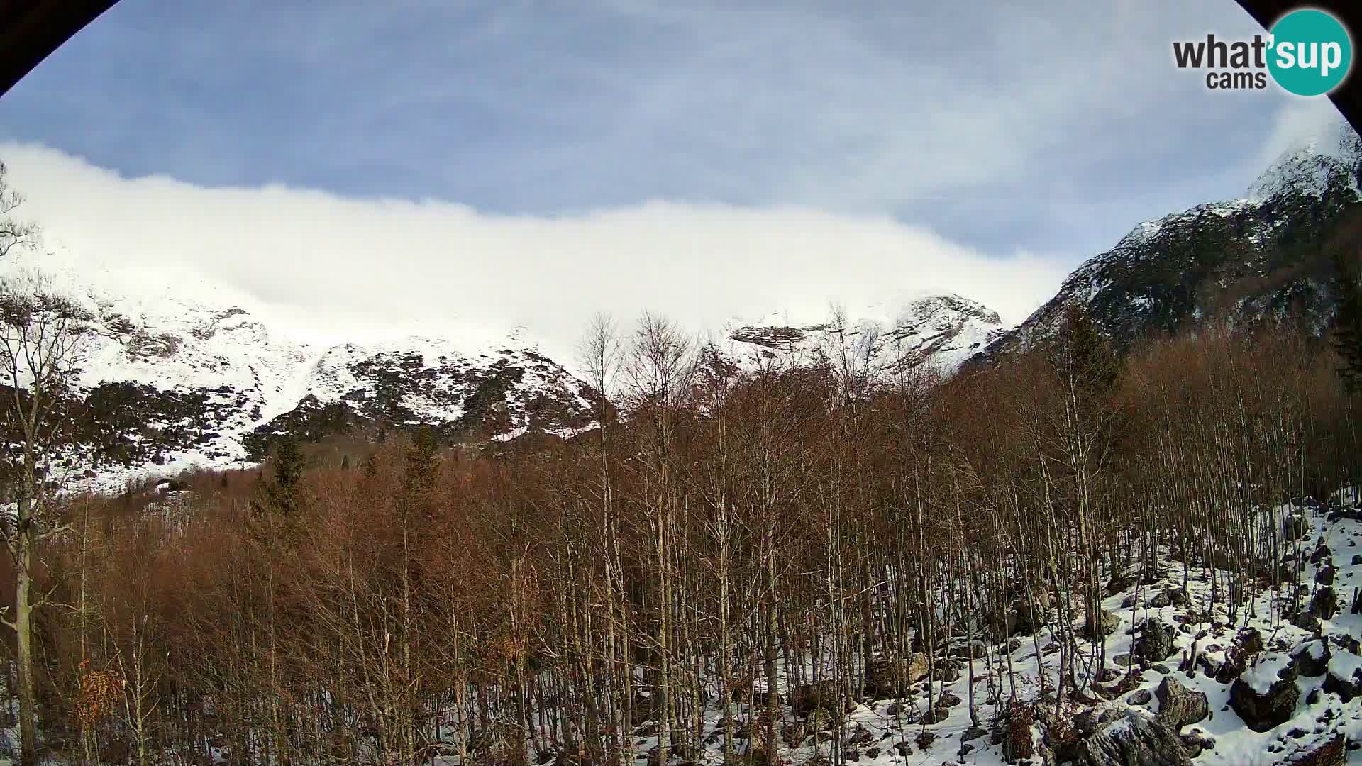 Livecam PLANINA RAZOR (1315) | vue sur Vogel et Globoko
