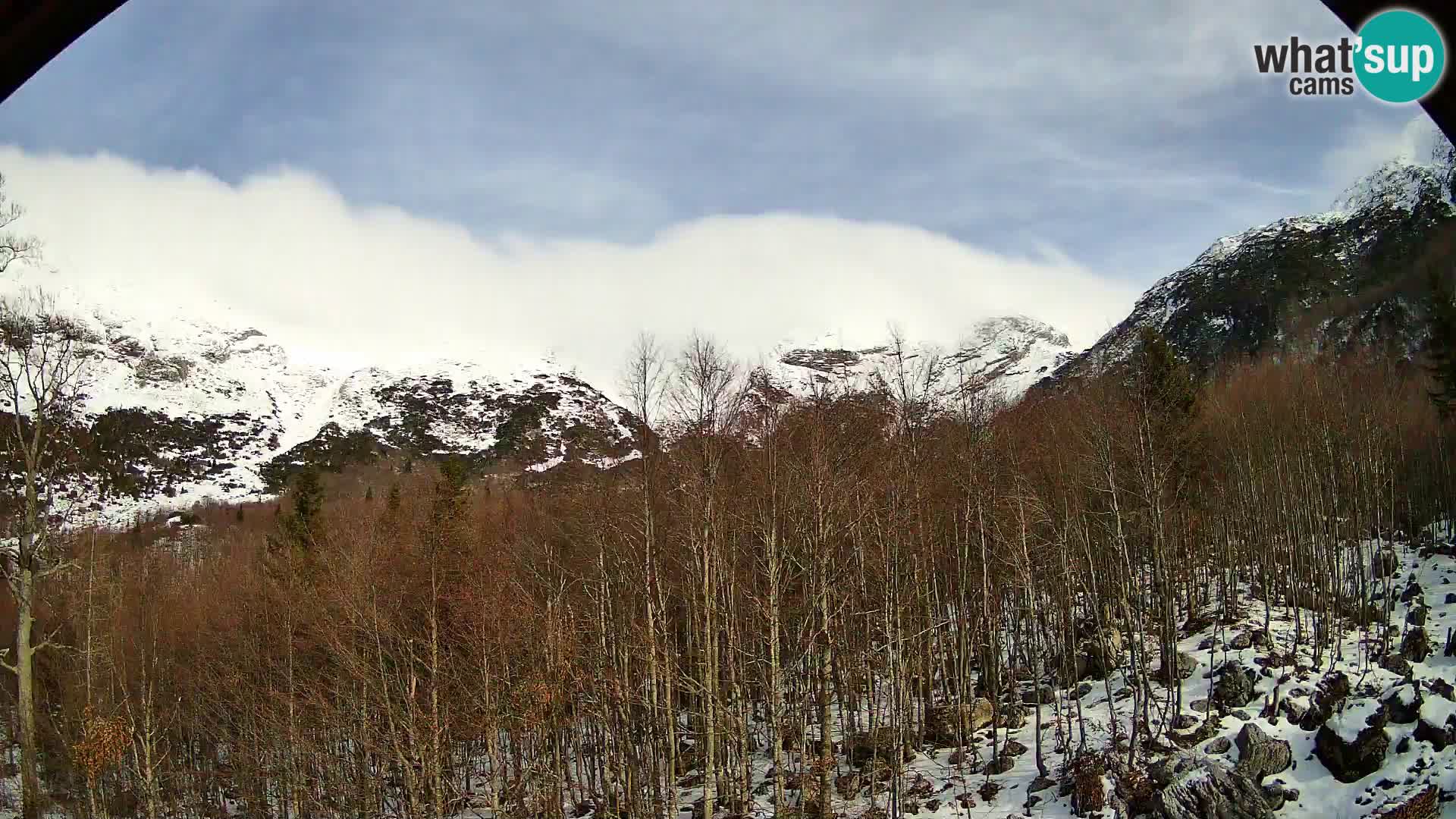 PLANINA RAZOR web kamera (1315) | pogled na Vogel i Globoko