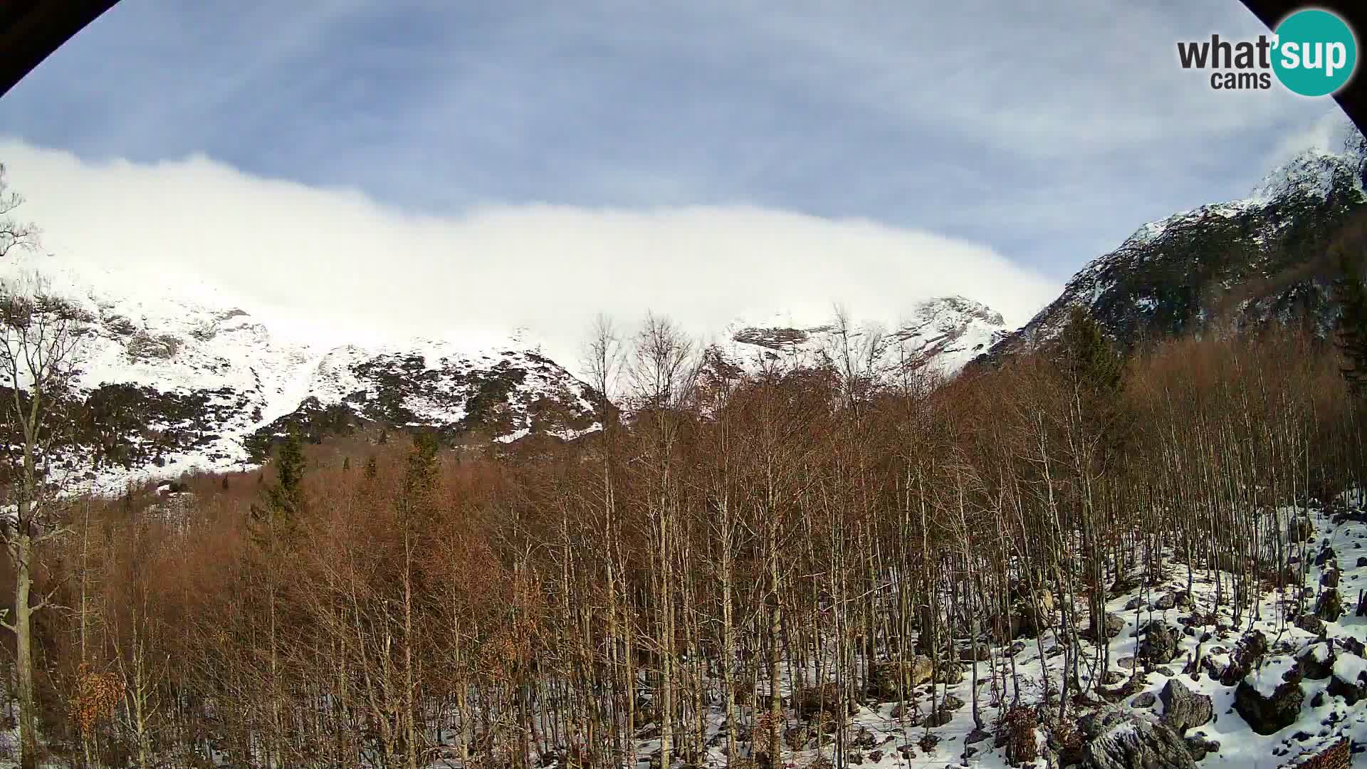PLANINA RAZOR Live Cam (1315) | vista su Vogel e Globoko