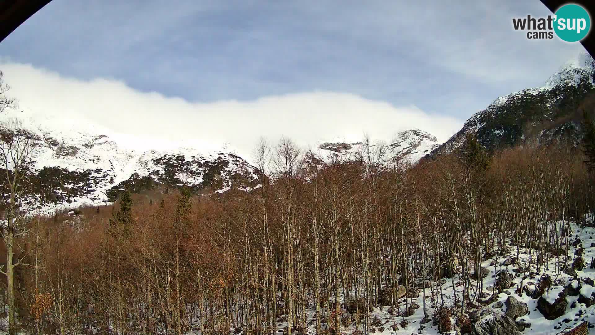 PLANINA RAZOR Live Cam (1315) | vista su Vogel e Globoko
