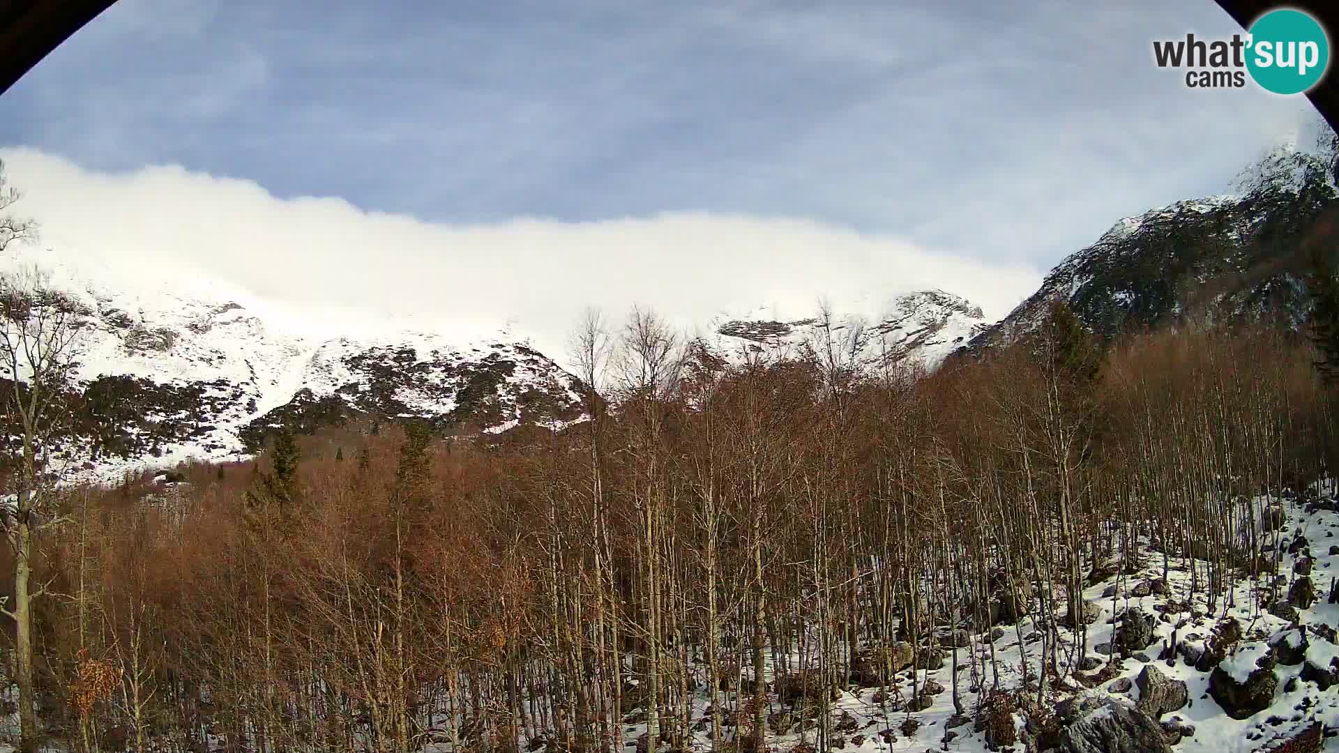 PLANINA RAZOR kamera (1315) | pogled na Vogel in Globoko