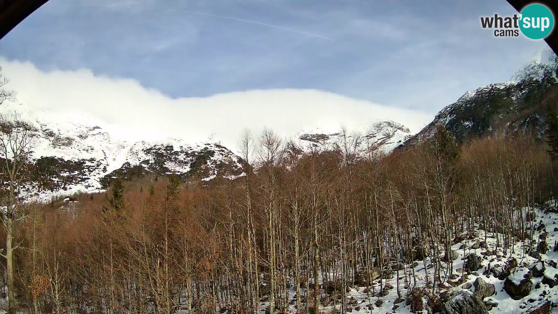 PLANINA RAZOR Live Cam (1315) | vista su Vogel e Globoko