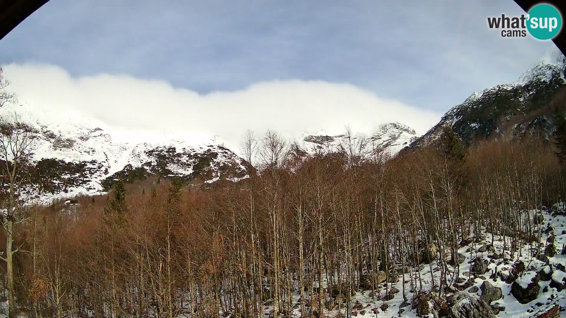 PLANINA RAZOR kamera (1315) | pogled na Vogel in Globoko