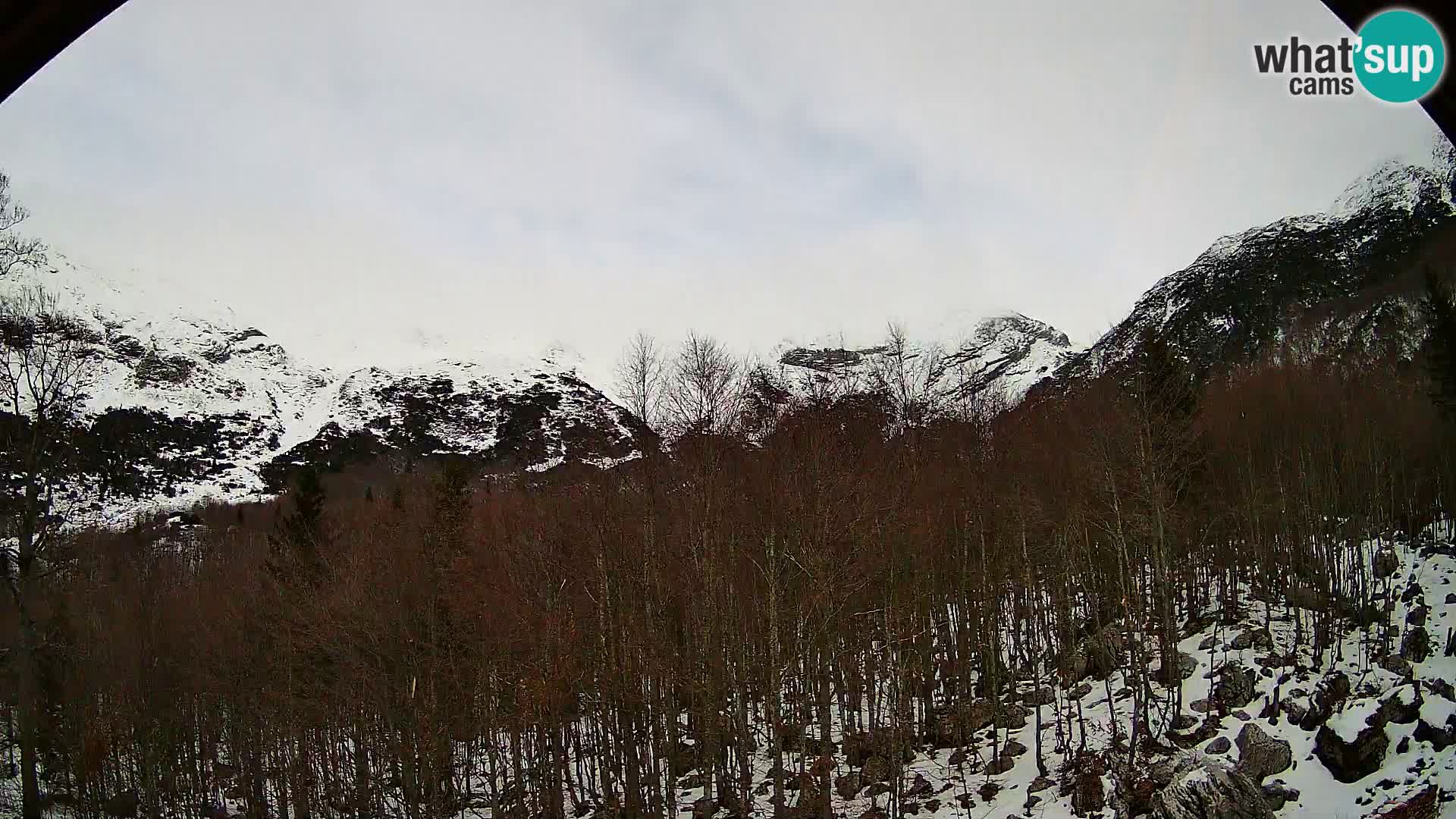 Webcam PLANINA RAZOR (1315) | Blick auf Vogel und Globoko