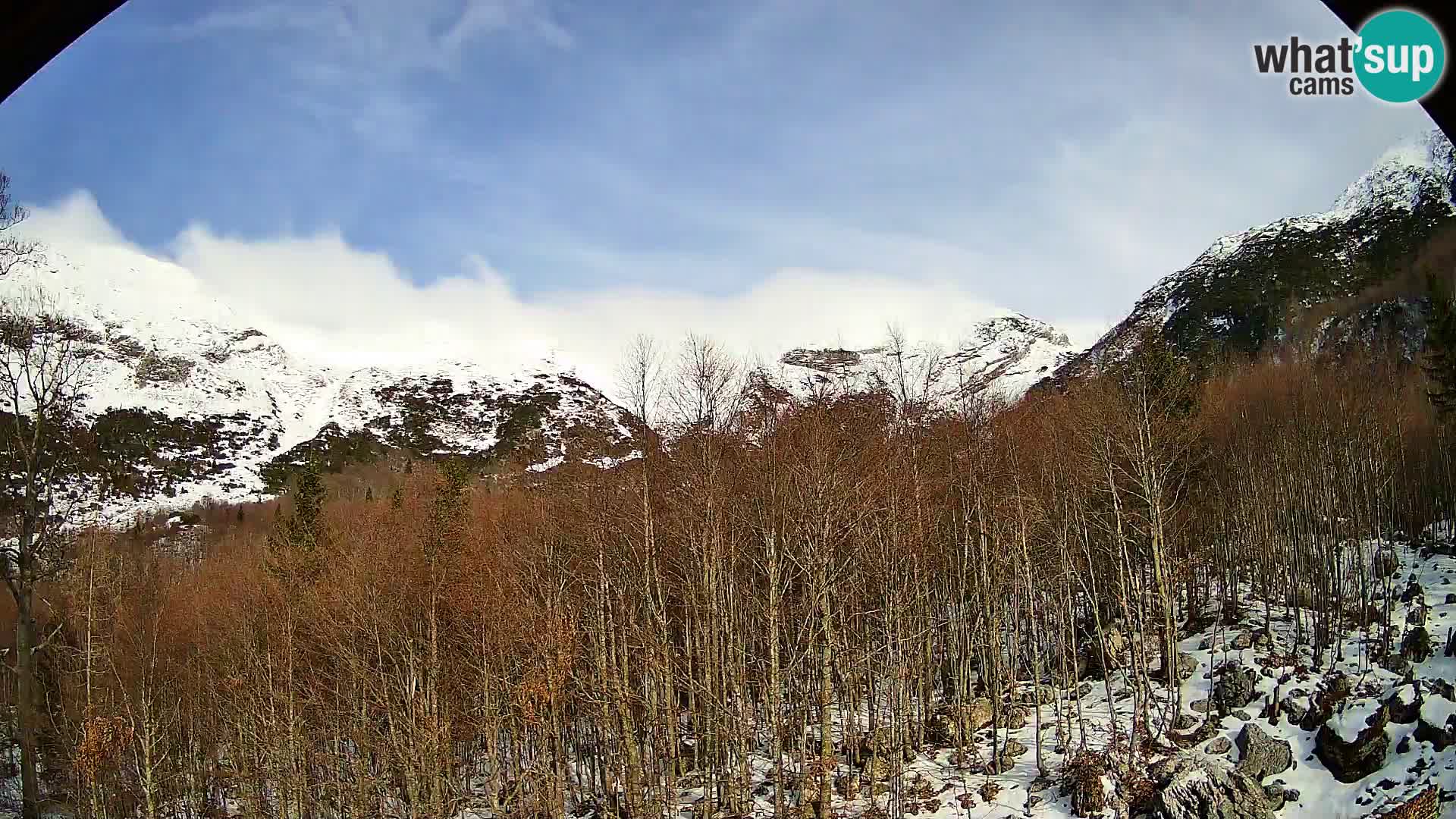 PLANINA RAZOR Live Cam (1315) | vista su Vogel e Globoko