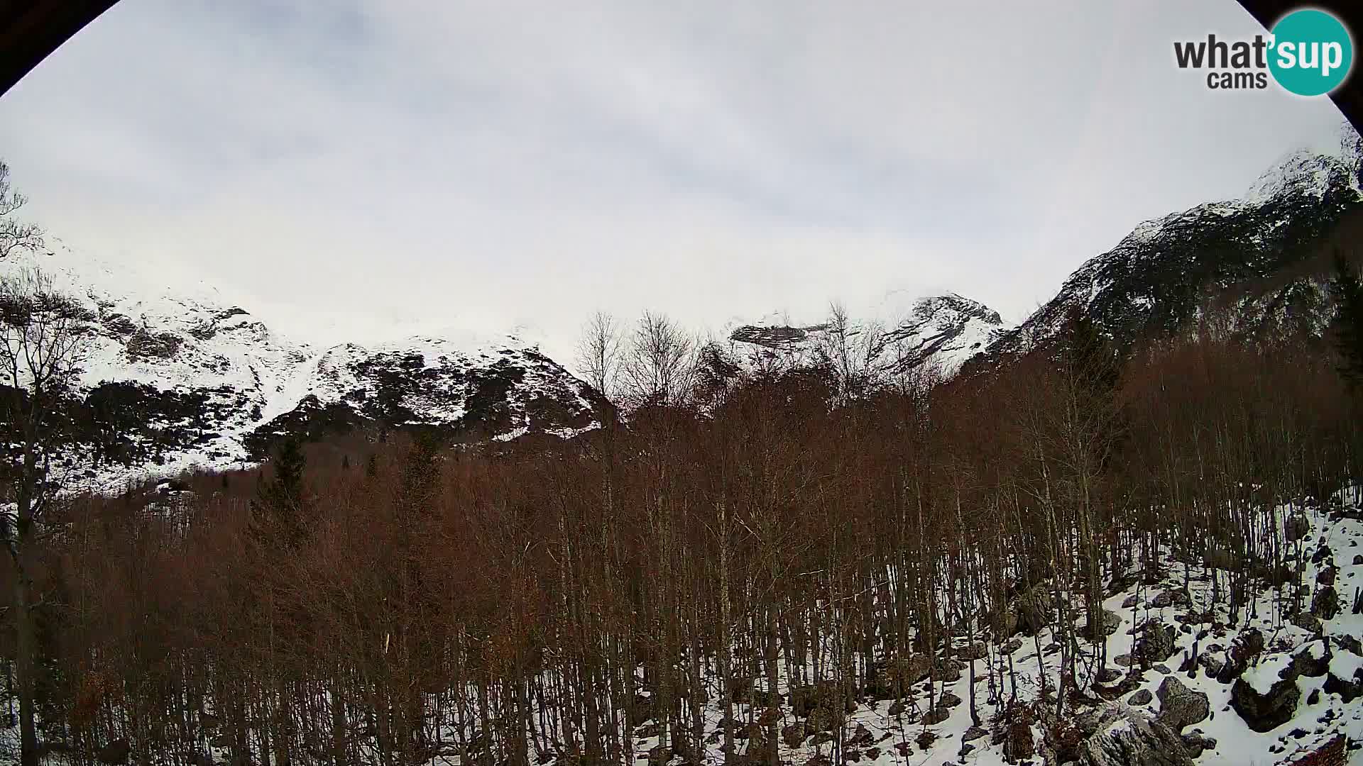 PLANINA RAZOR kamera (1315) | pogled na Vogel in Globoko