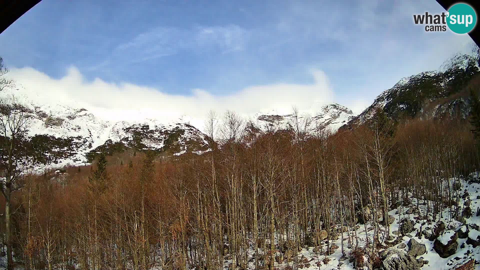Webcam PLANINA RAZOR (1315) | Blick auf Vogel und Globoko