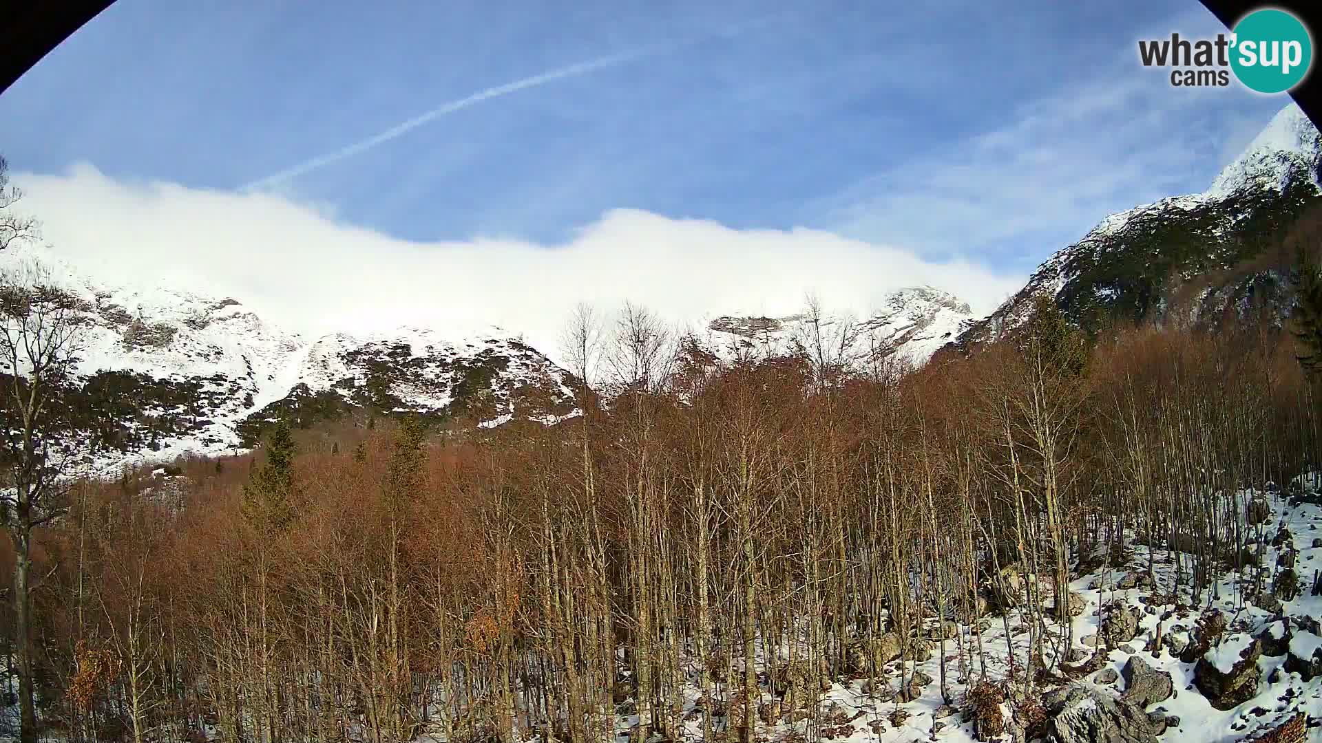 PLANINA RAZOR Live Cam (1315) | vista su Vogel e Globoko