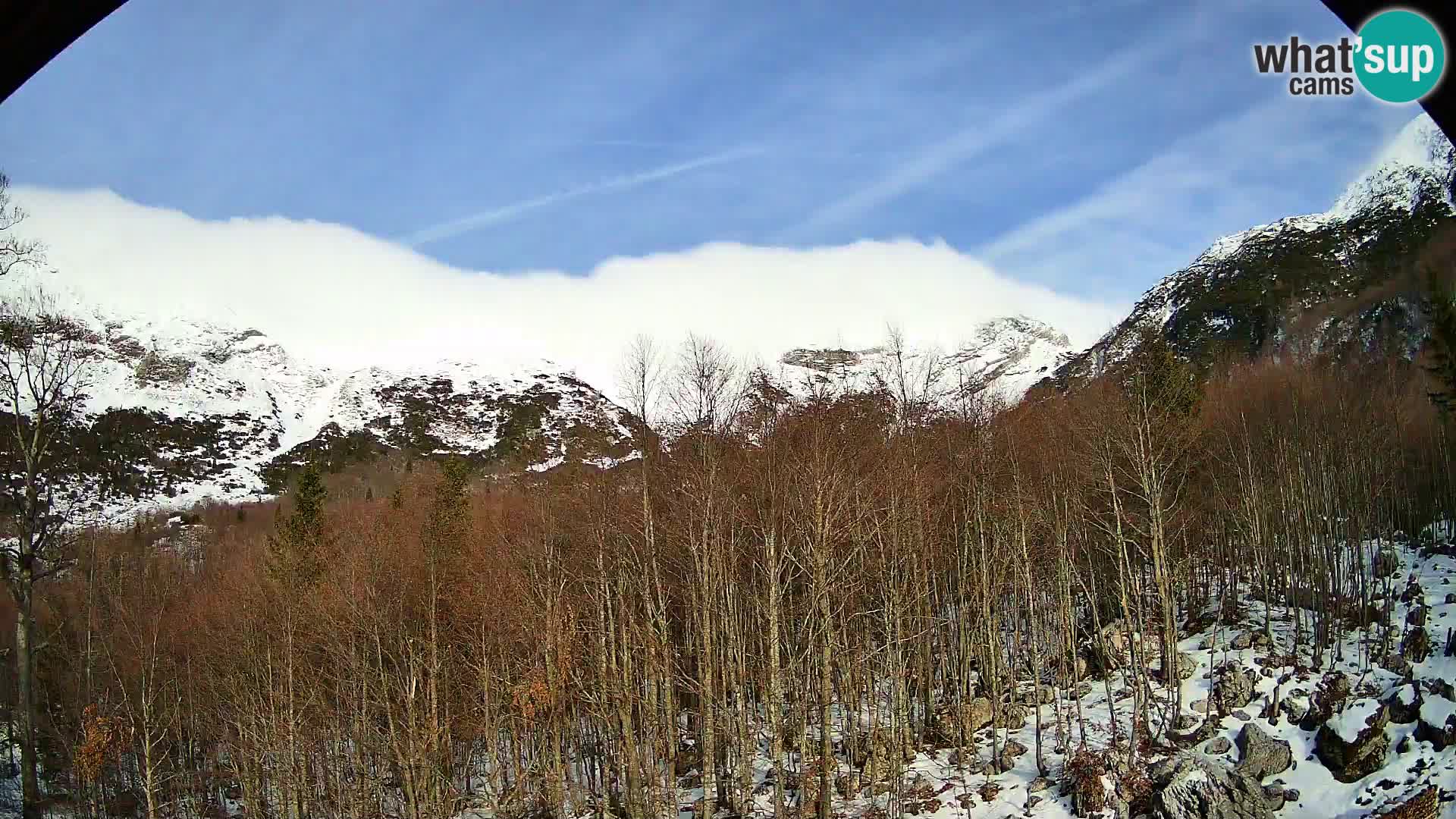 Webcam PLANINA RAZOR (1315) | Blick auf Vogel und Globoko