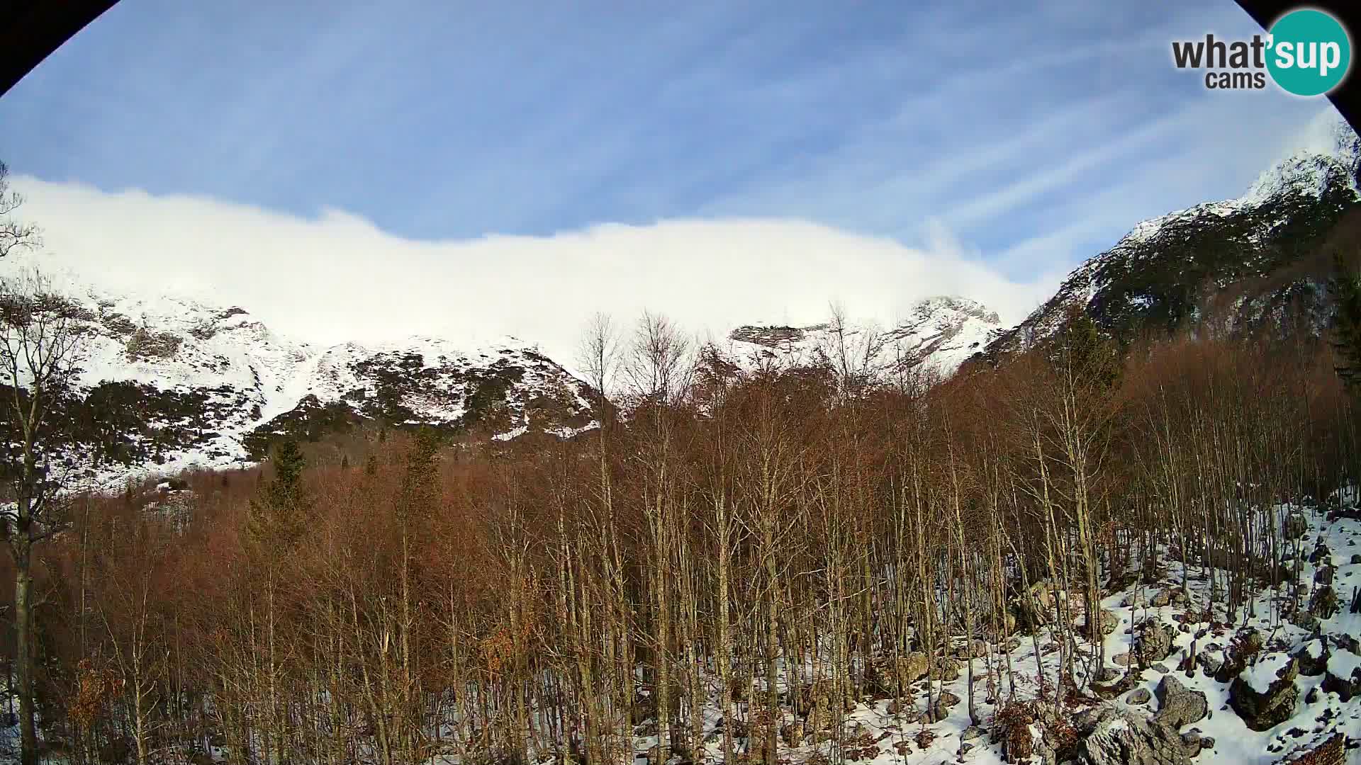 Webcam PLANINA RAZOR (1315) | Blick auf Vogel und Globoko