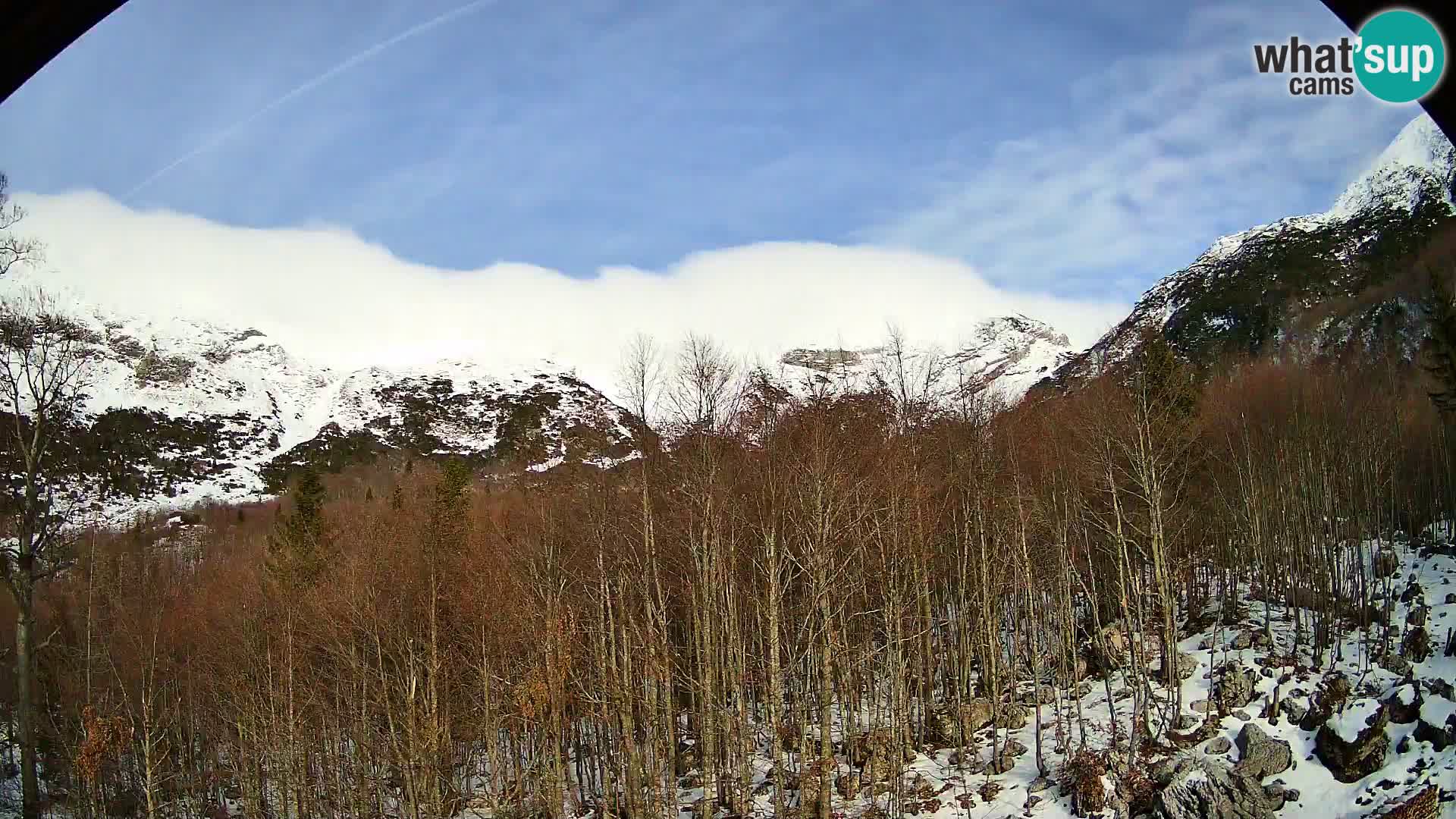 PLANINA RAZOR Live Cam (1315) | vista su Vogel e Globoko