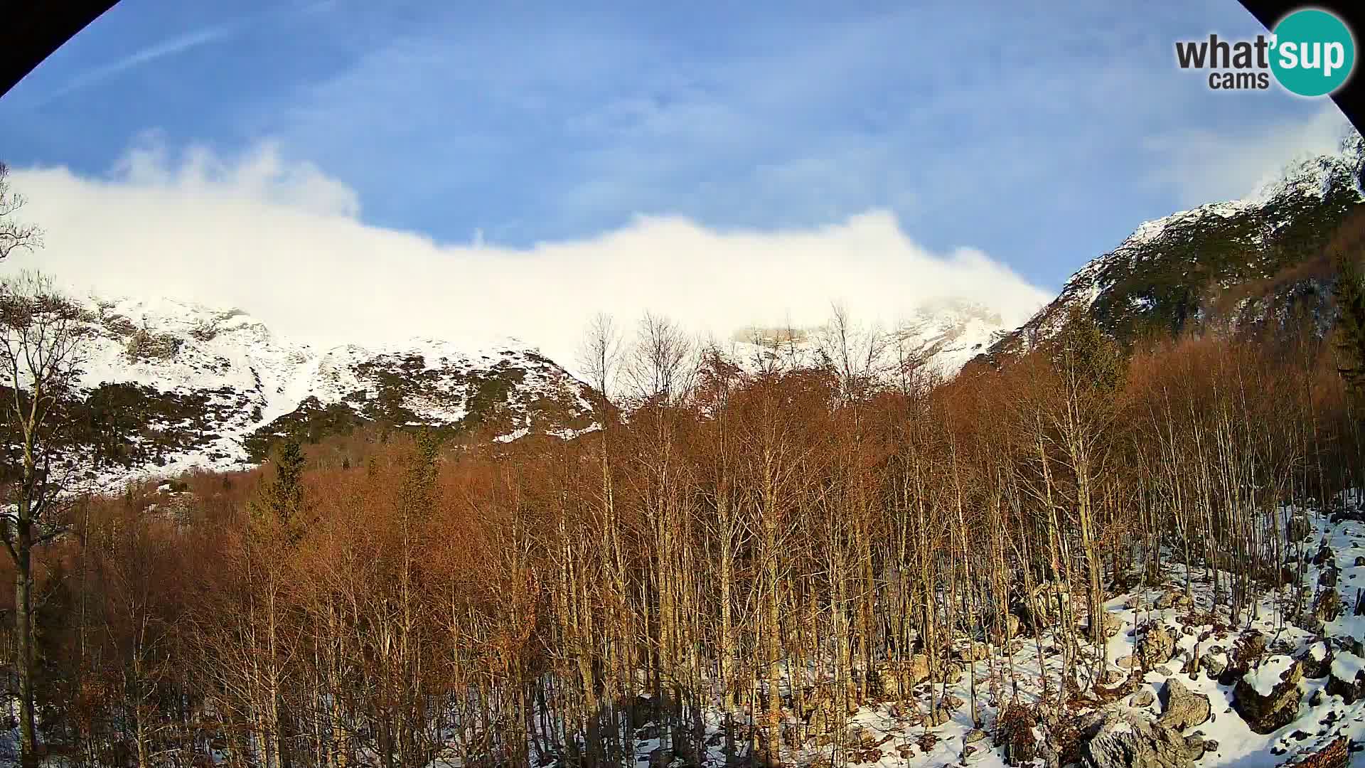 Cámara web PLANINA RAZOR (1315) | vista a Vogel y Globoko
