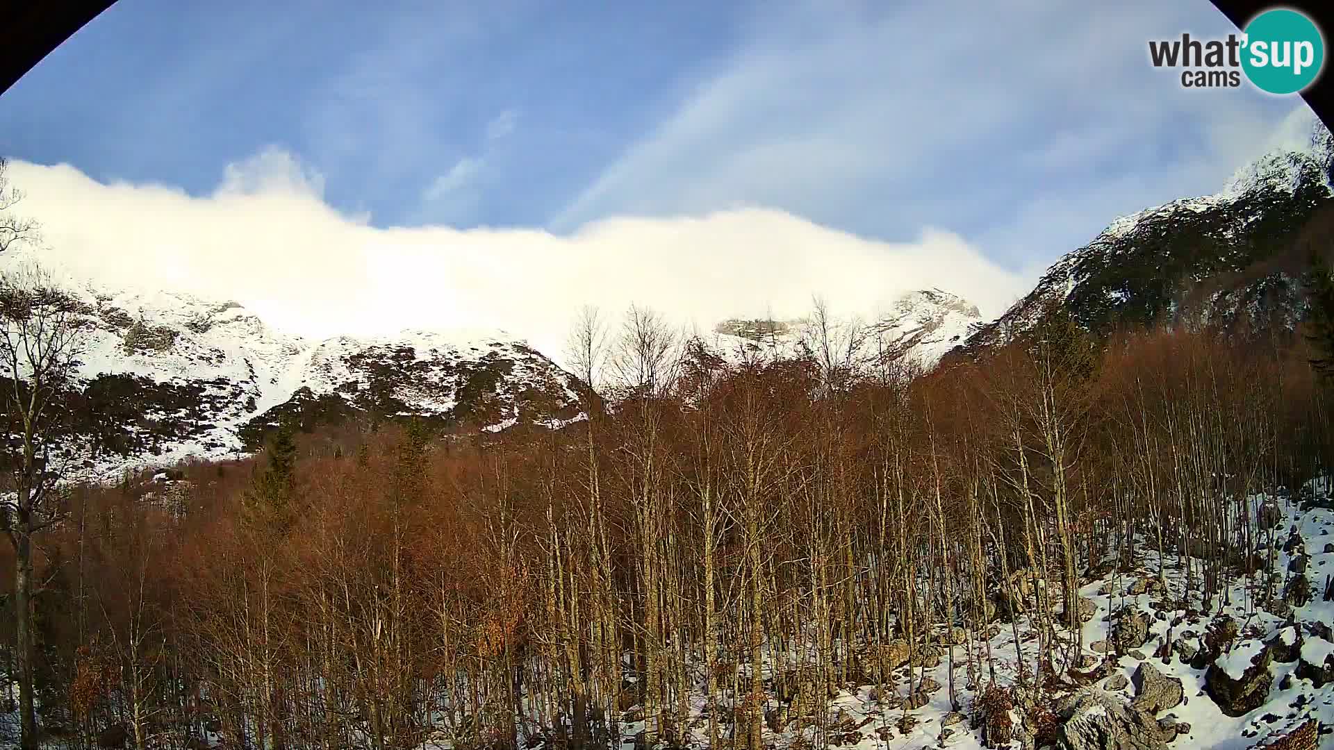Webcam PLANINA RAZOR (1315) | Blick auf Vogel und Globoko