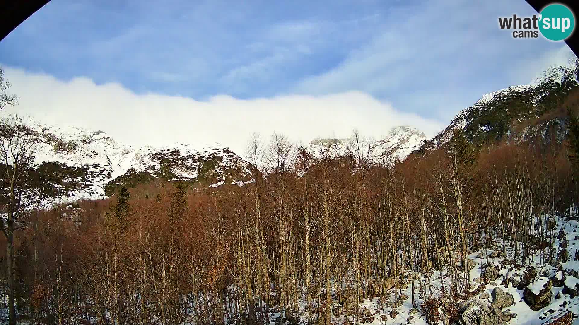 PLANINA RAZOR web kamera (1315) | pogled na Vogel i Globoko