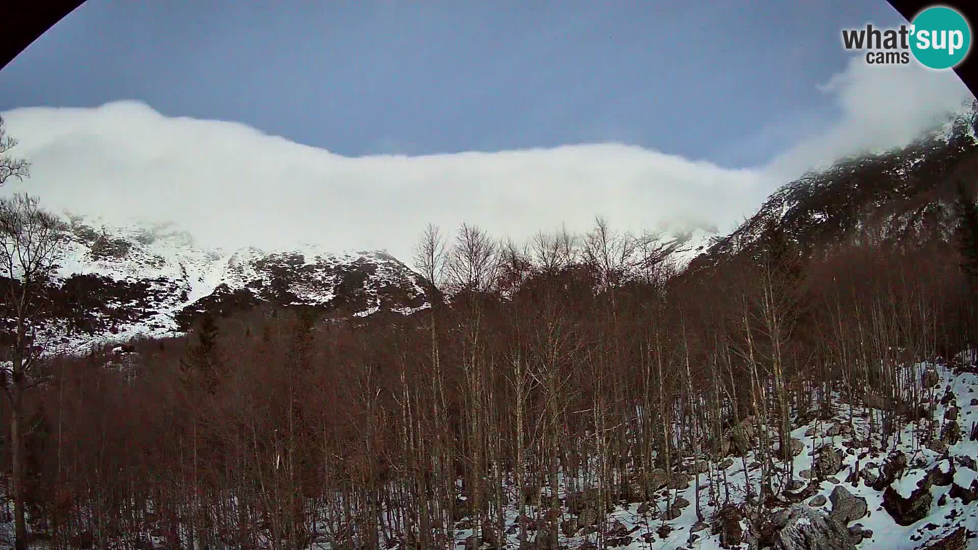 PLANINA RAZOR Live Cam (1315) | vista su Vogel e Globoko