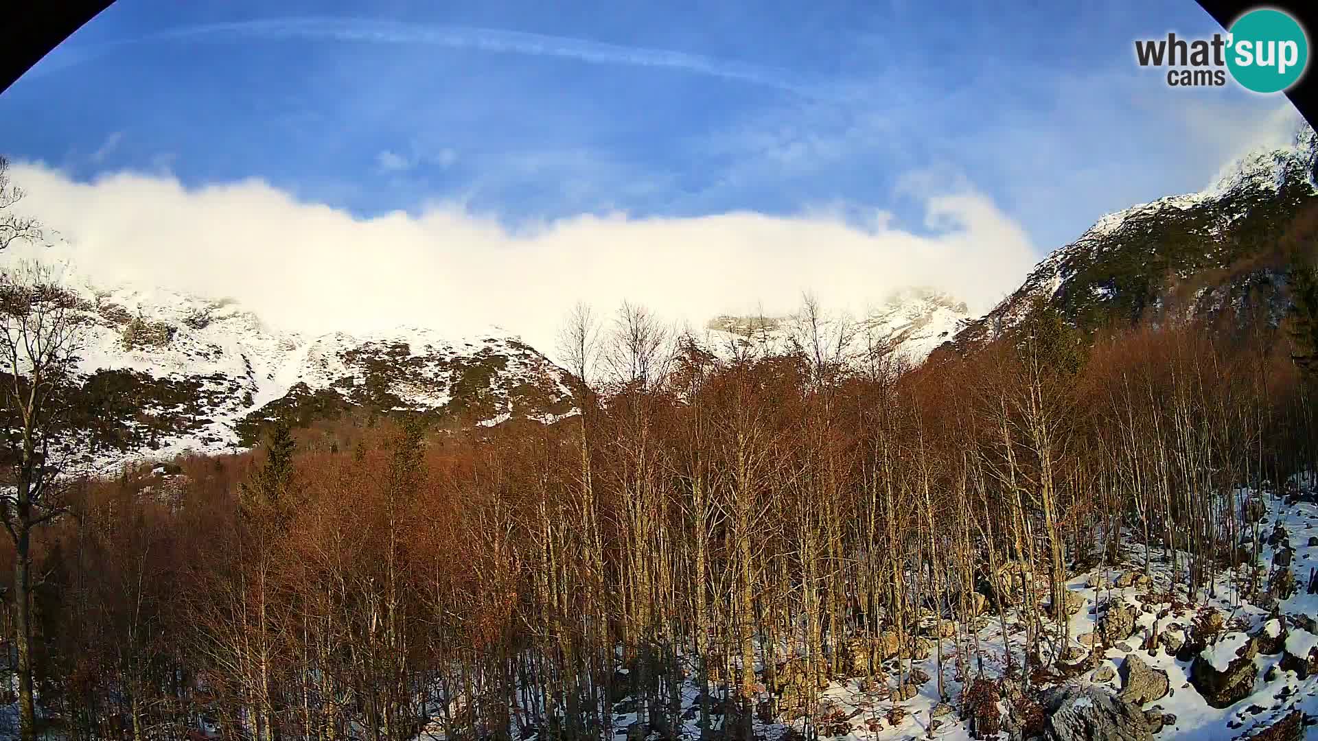 Livecam PLANINA RAZOR (1315) | vue sur Vogel et Globoko