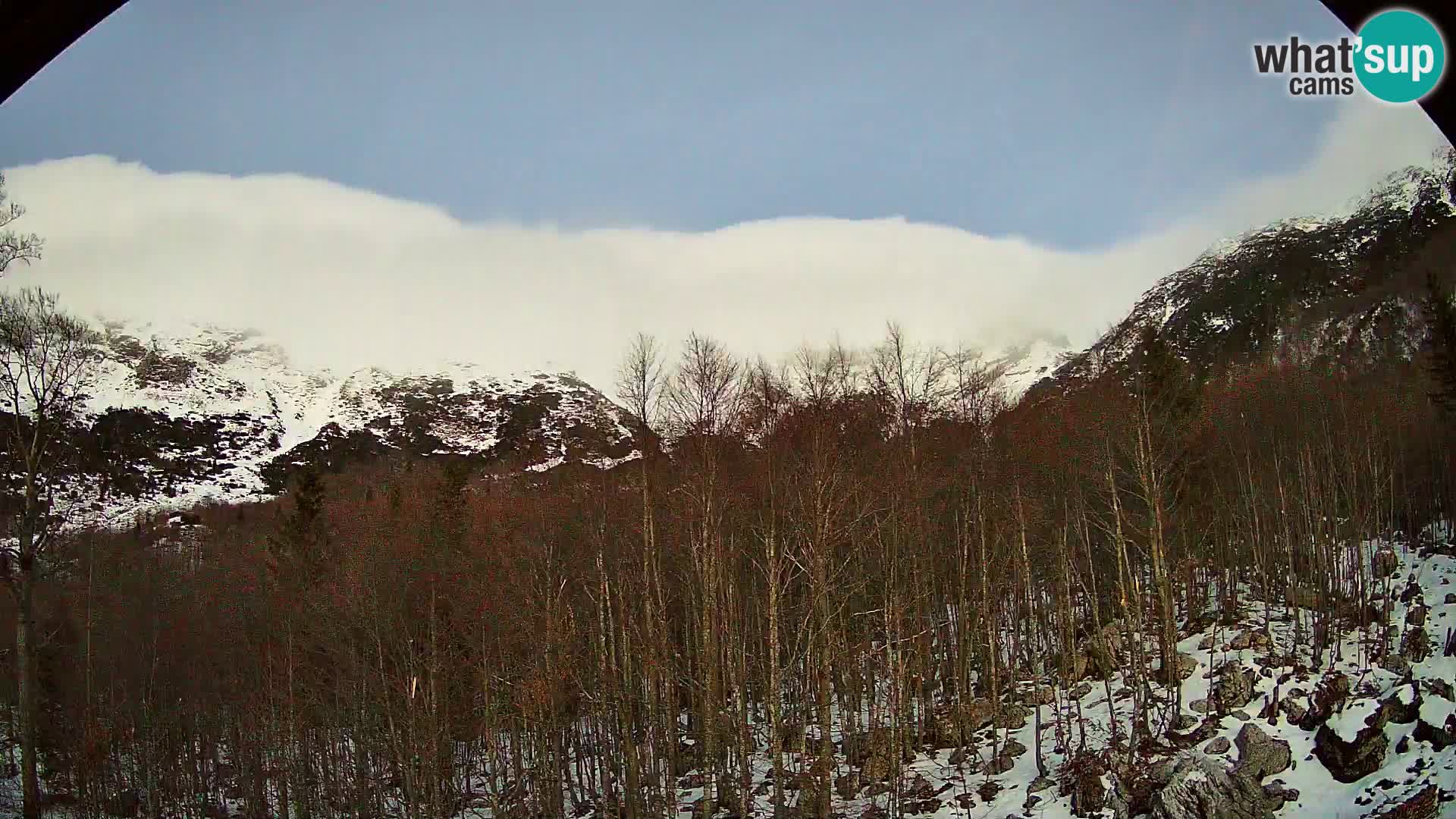 PLANINA RAZOR kamera (1315) | pogled na Vogel in Globoko