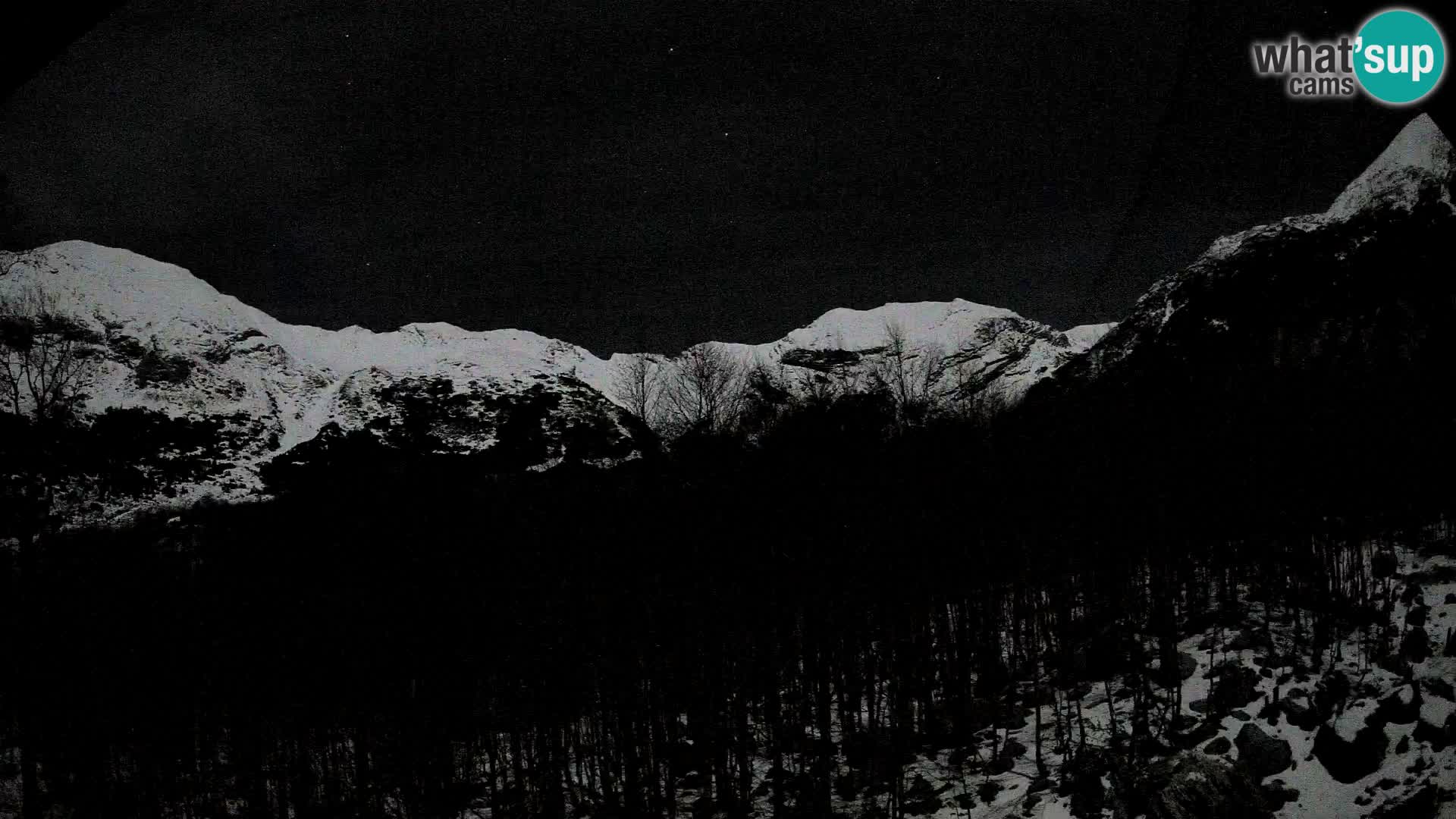 Livecam PLANINA RAZOR (1315) | vue sur Vogel et Globoko