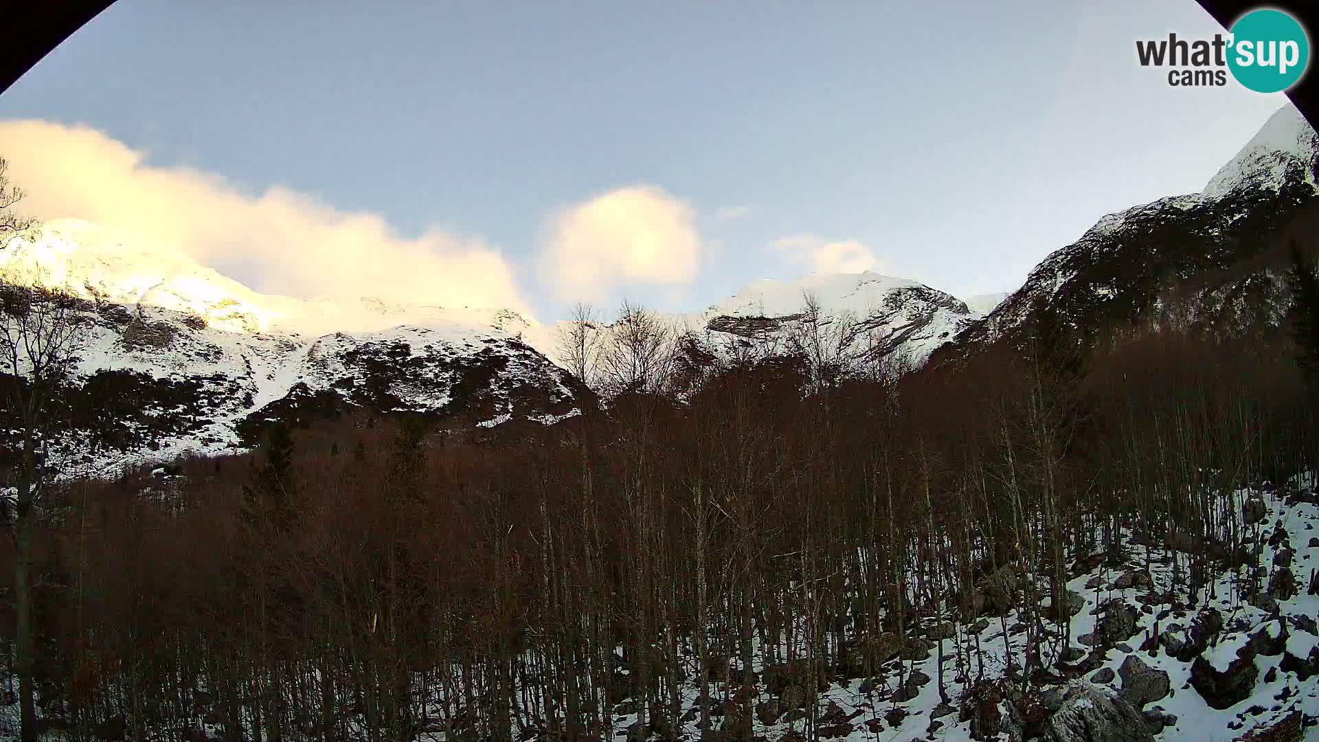 Webcam PLANINA RAZOR (1315) | Blick auf Vogel und Globoko