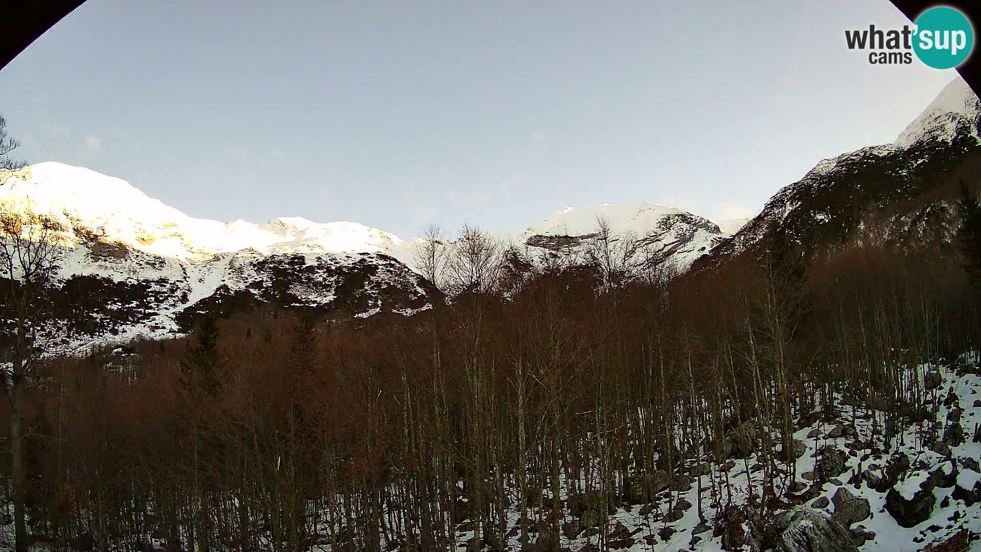 Cámara web PLANINA RAZOR (1315) | vista a Vogel y Globoko