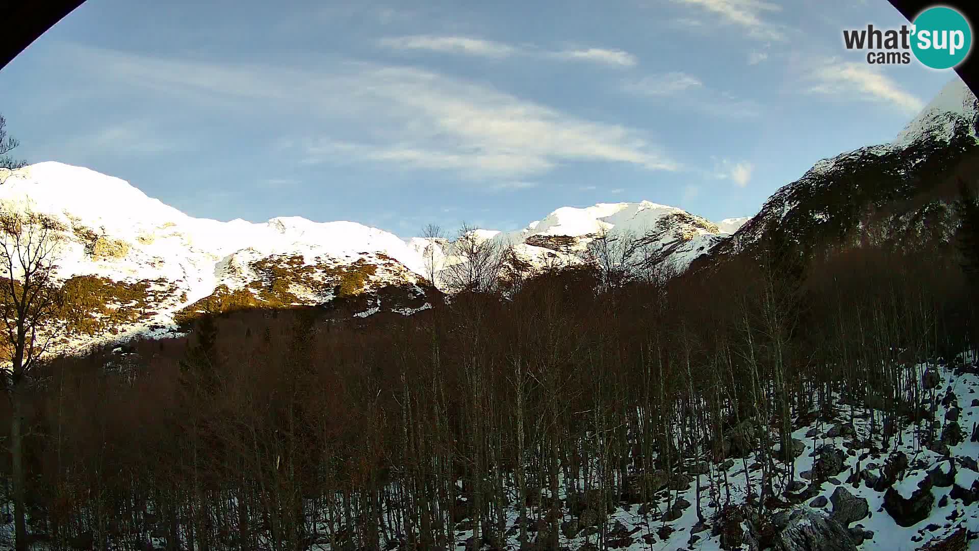 Webcam PLANINA RAZOR (1315) | Blick auf Vogel und Globoko