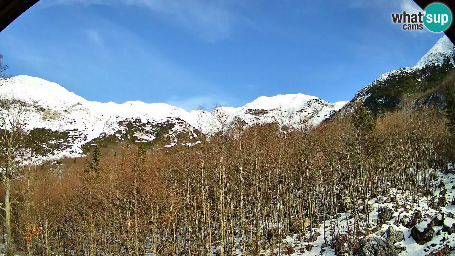 Livecam PLANINA RAZOR (1315) | vue sur Vogel et Globoko