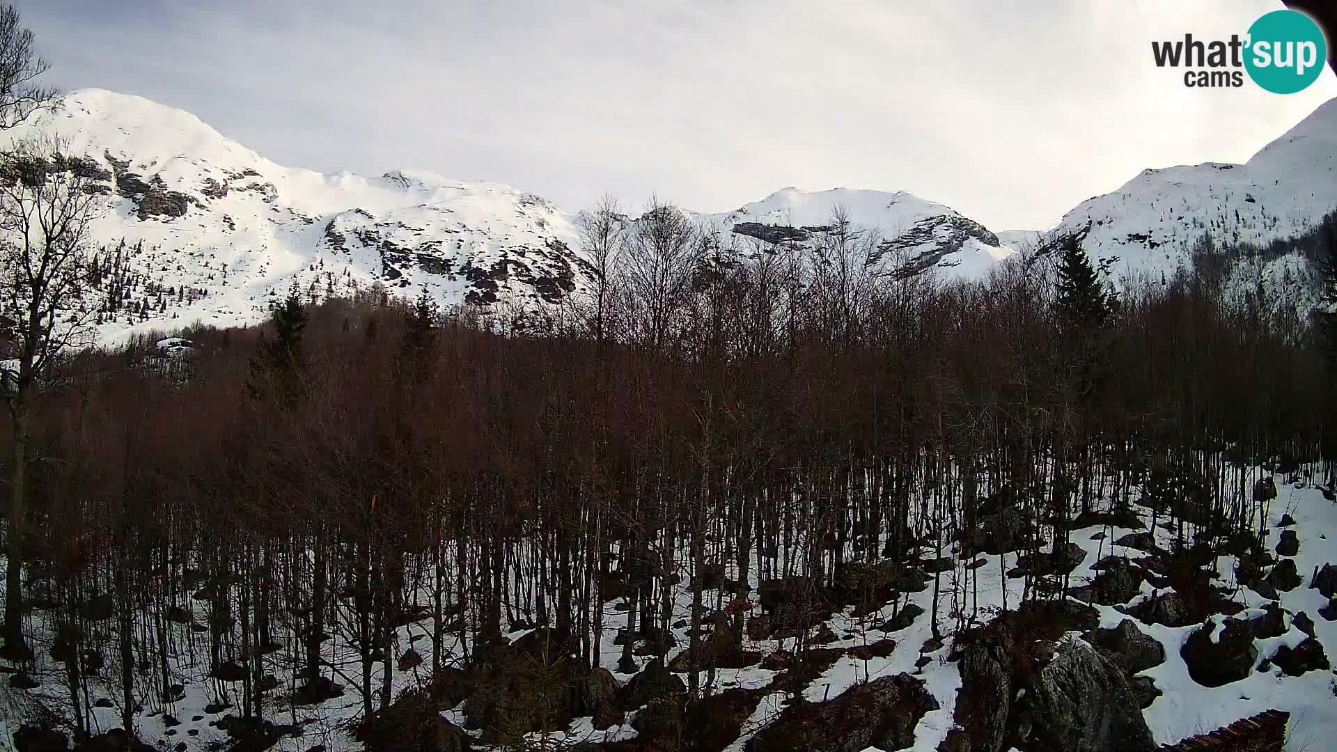 PLANINA RAZOR kamera (1315) | pogled na Vogel in Globoko
