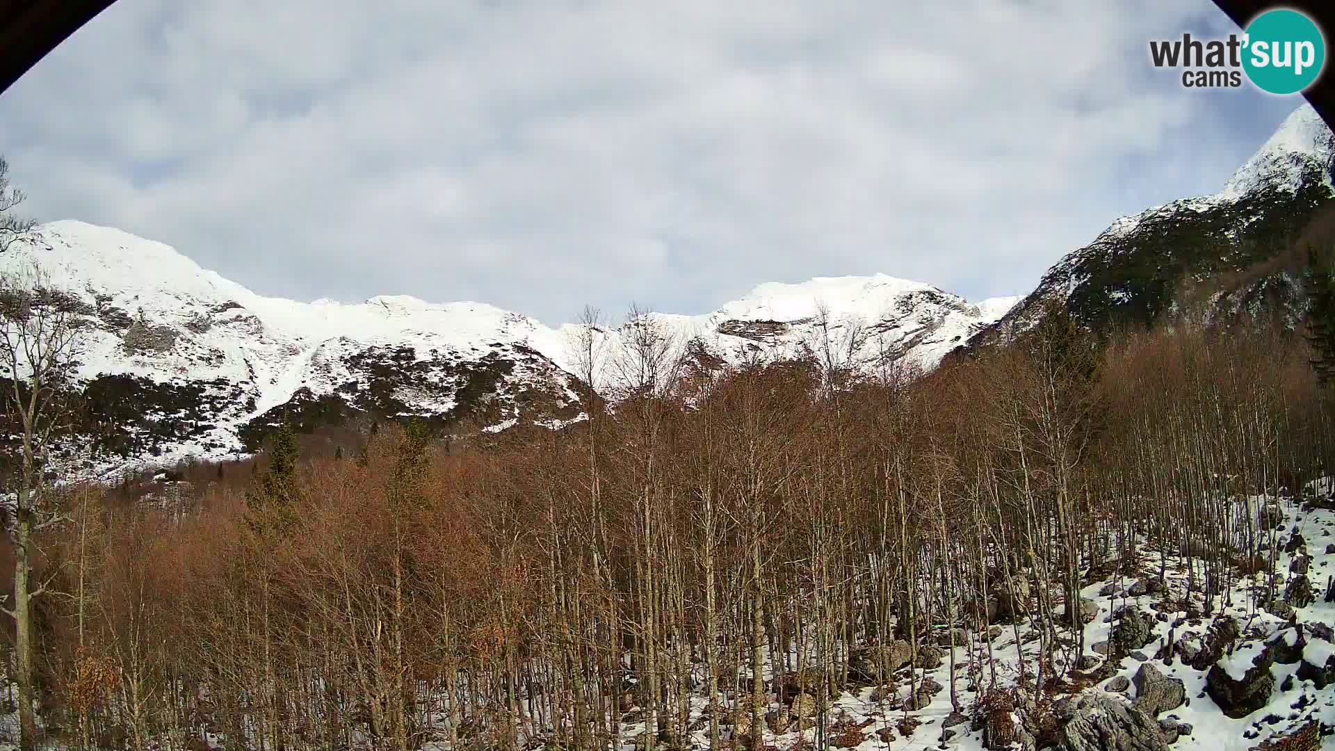 PLANINA RAZOR web kamera (1315) | pogled na Vogel i Globoko