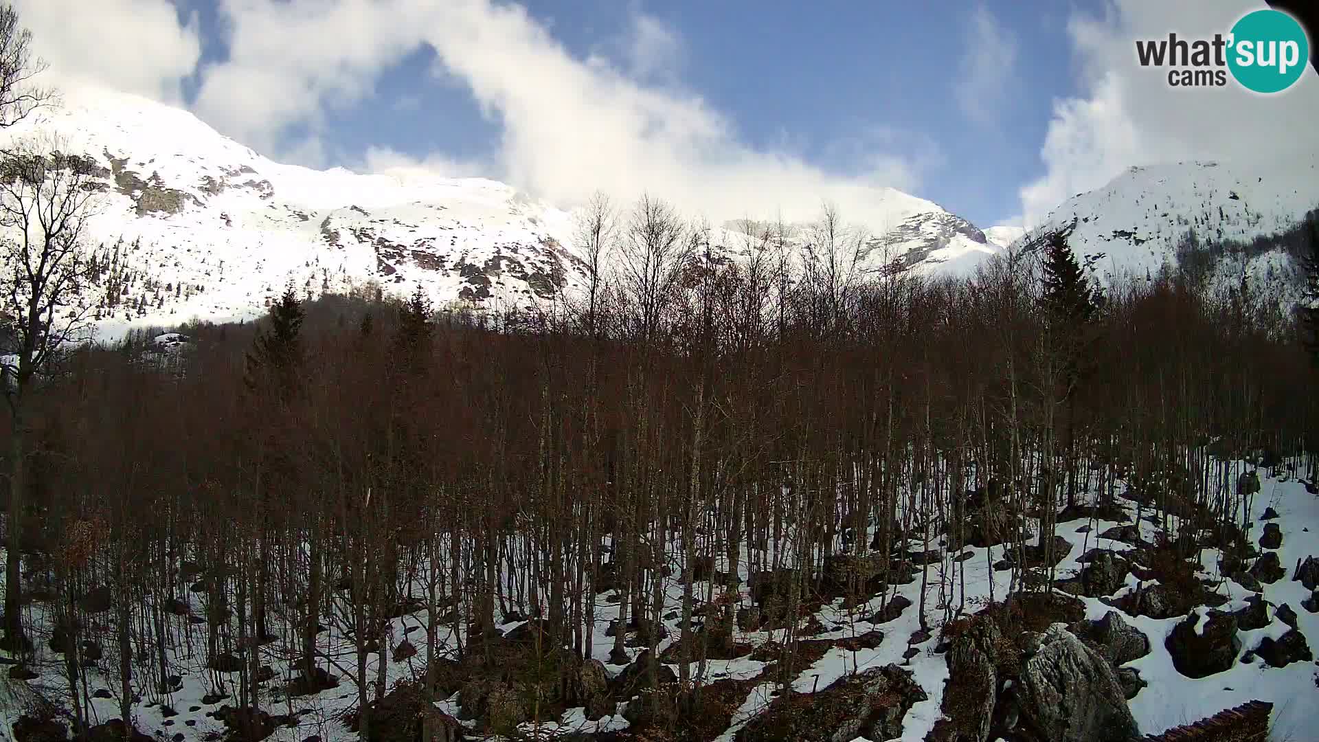 Cámara web PLANINA RAZOR (1315) | vista a Vogel y Globoko