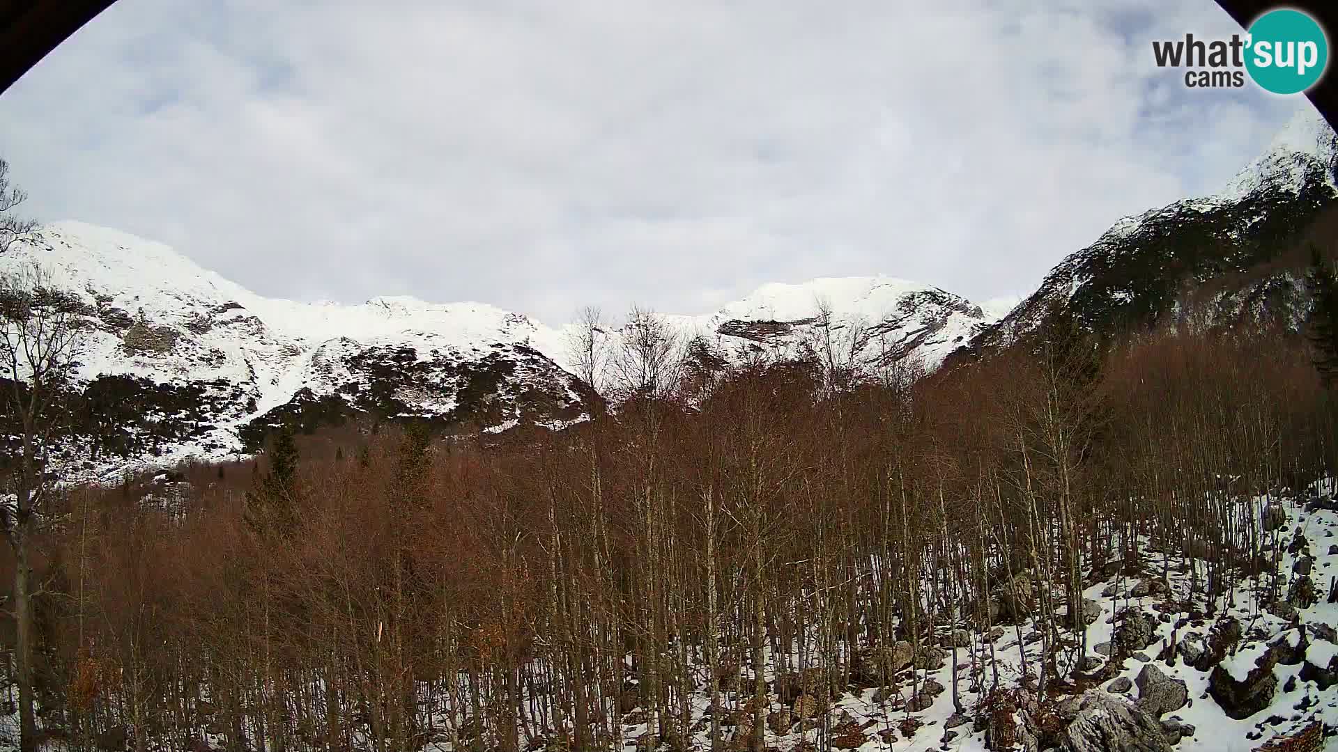 PLANINA RAZOR Live Cam (1315) | vista su Vogel e Globoko