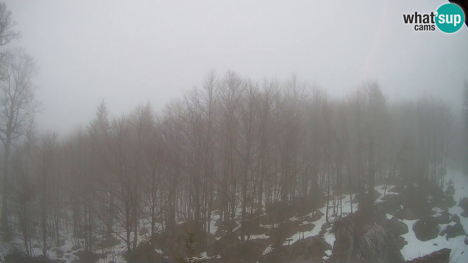 Livecam PLANINA RAZOR (1315) | vue sur Vogel et Globoko