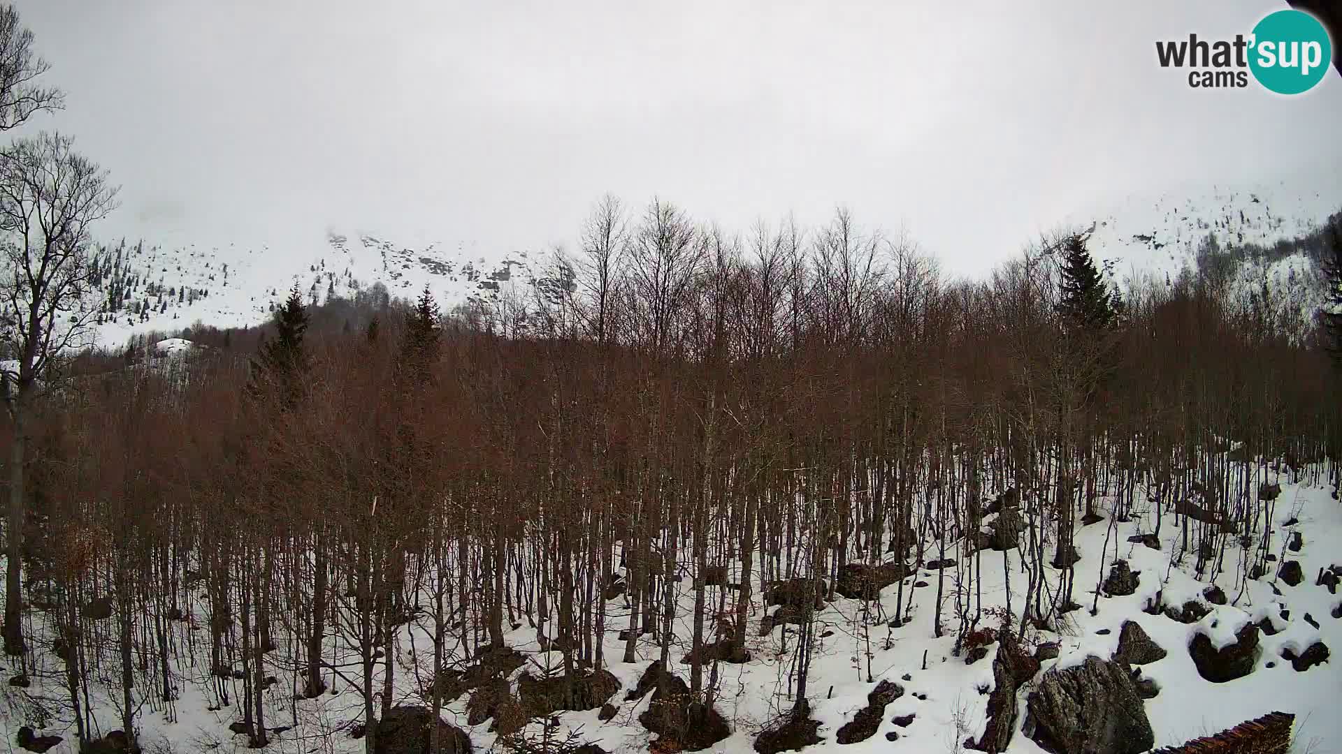 PLANINA RAZOR Live Cam (1315) | vista su Vogel e Globoko