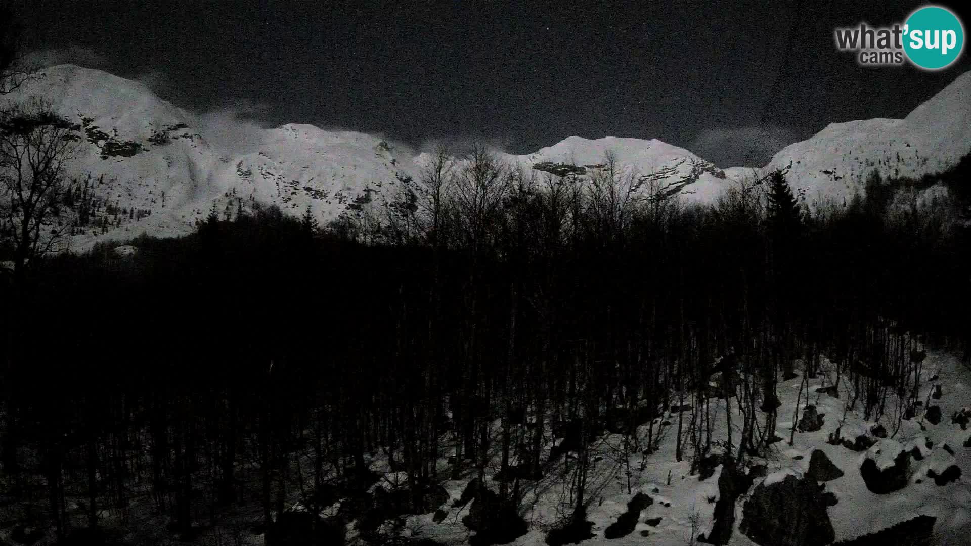 PLANINA RAZOR kamera (1315) | pogled na Vogel in Globoko