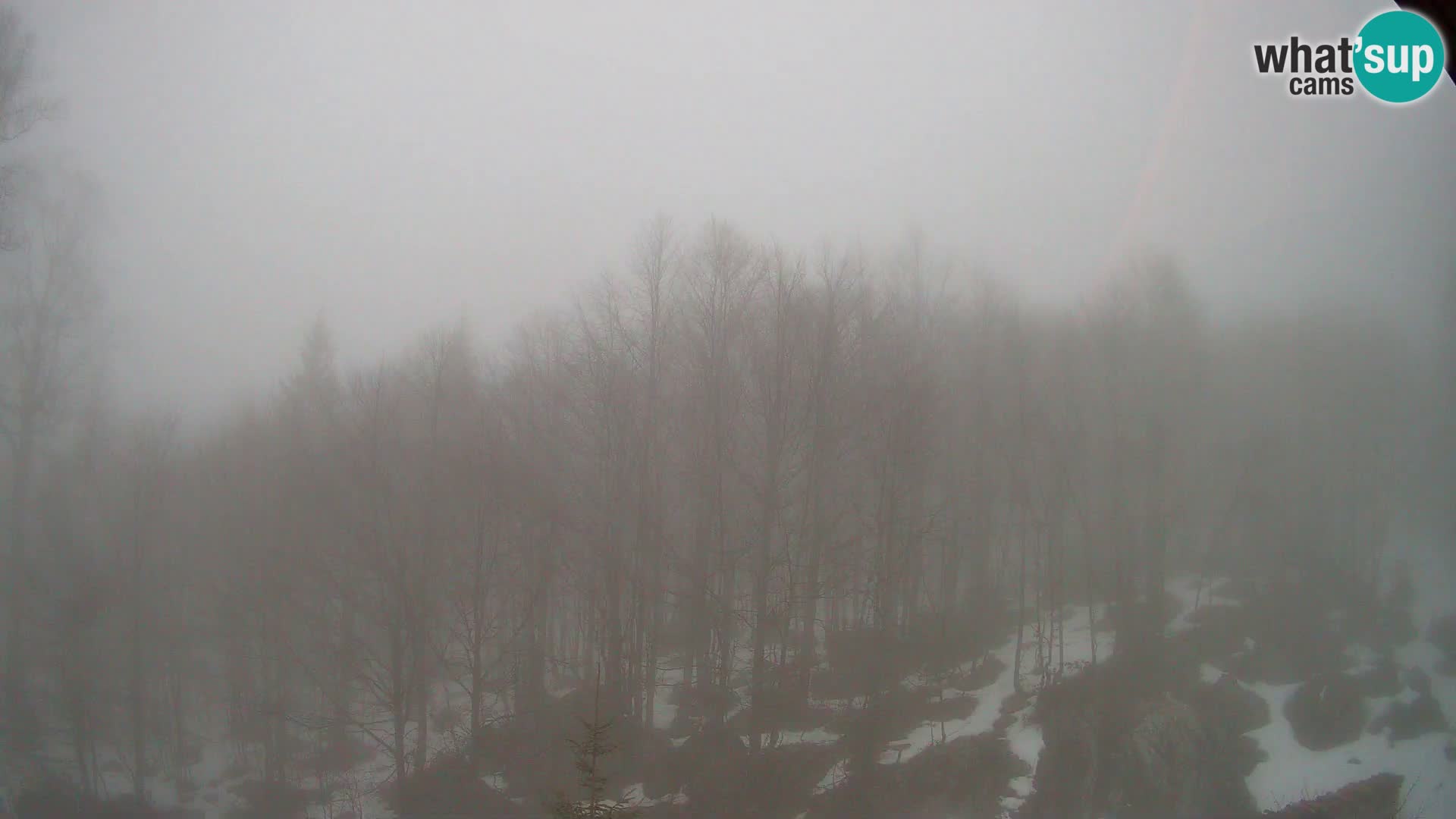 PLANINA RAZOR webcam (1315) | view to Vogel and Globoko