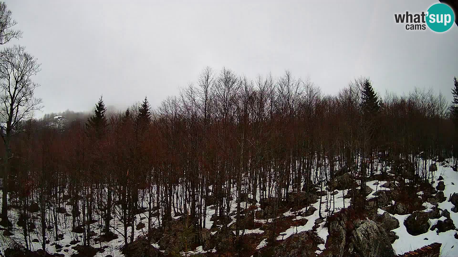 Cámara web PLANINA RAZOR (1315) | vista a Vogel y Globoko