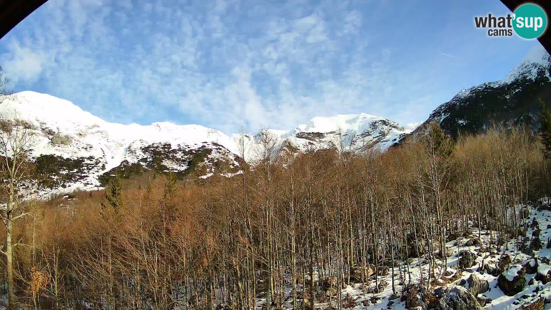 Livecam PLANINA RAZOR (1315) | vue sur Vogel et Globoko