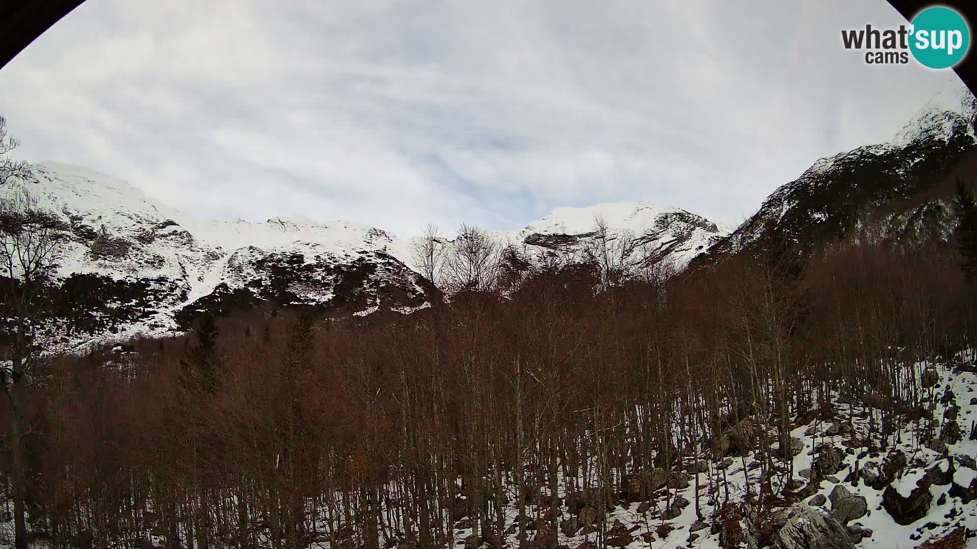 PLANINA RAZOR web kamera (1315) | pogled na Vogel i Globoko