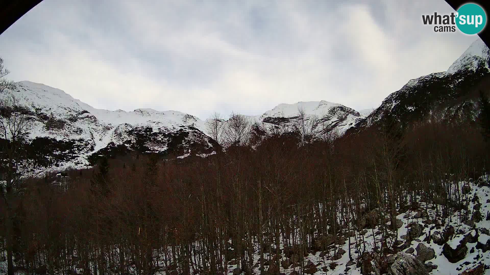 PLANINA RAZOR web kamera (1315) | pogled na Vogel i Globoko