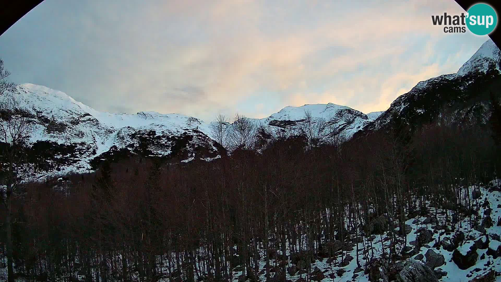 Webcam PLANINA RAZOR (1315) | Blick auf Vogel und Globoko