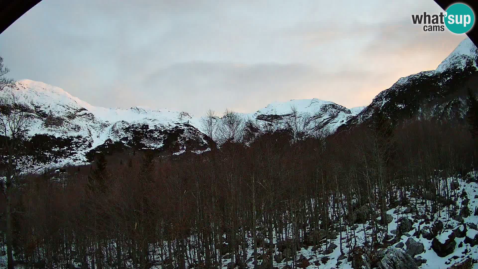 Webcam PLANINA RAZOR (1315) | Blick auf Vogel und Globoko