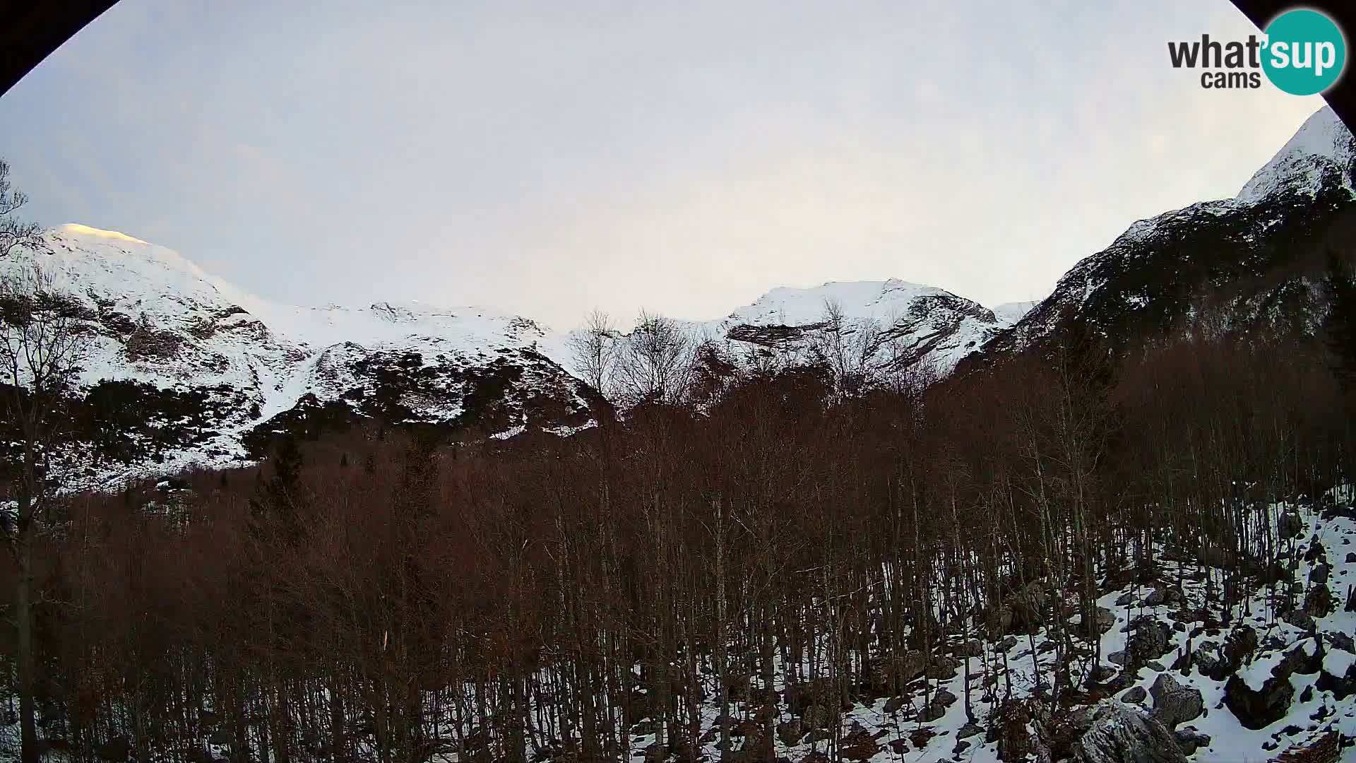 PLANINA RAZOR webcam (1315) | view to Vogel and Globoko