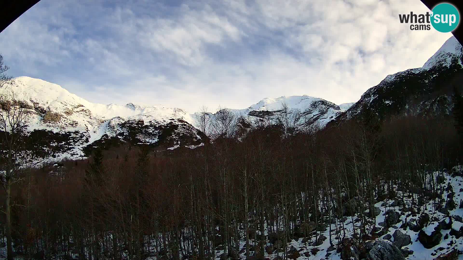 Livecam PLANINA RAZOR (1315) | vue sur Vogel et Globoko