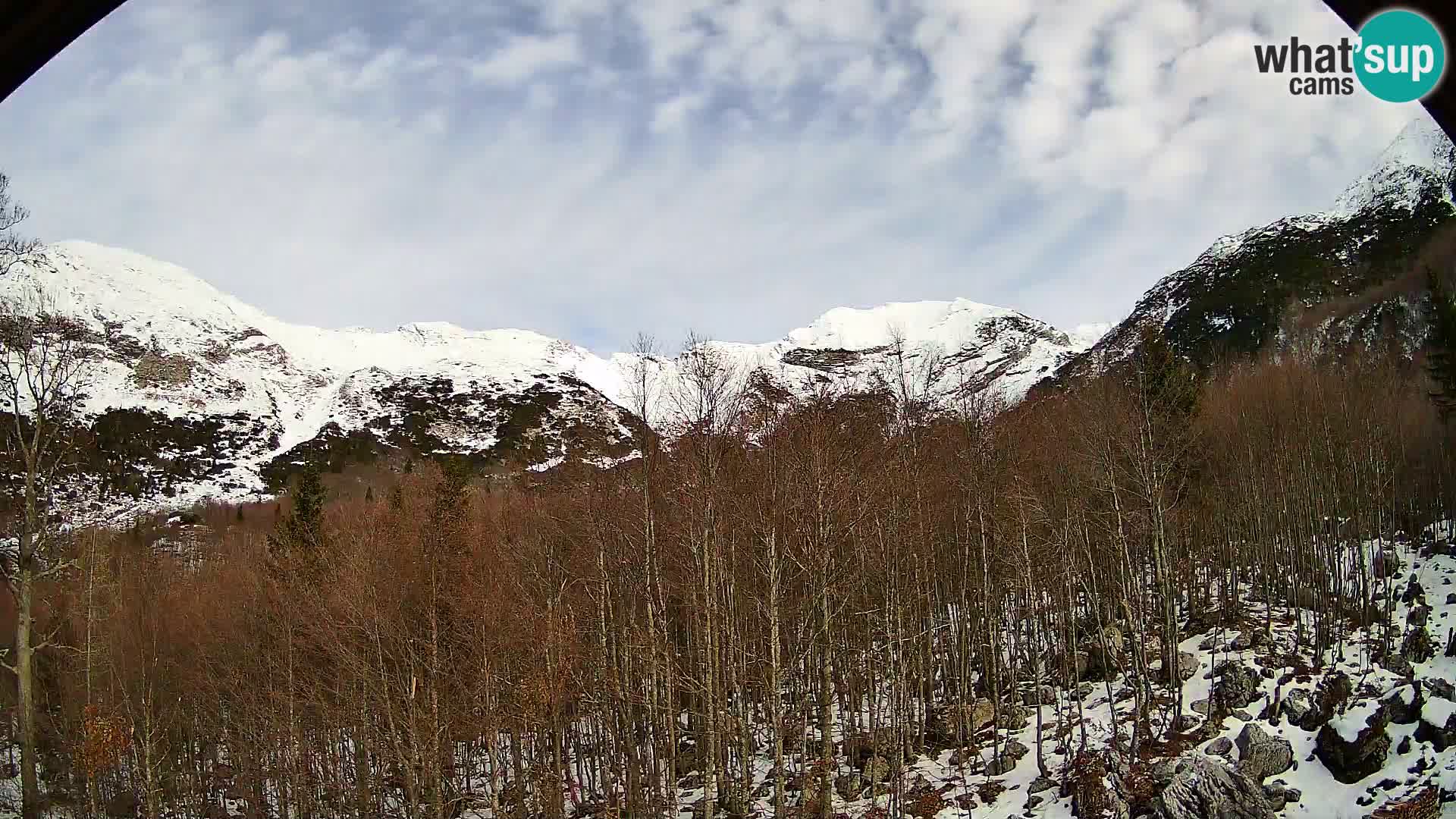 Livecam PLANINA RAZOR (1315) | vue sur Vogel et Globoko