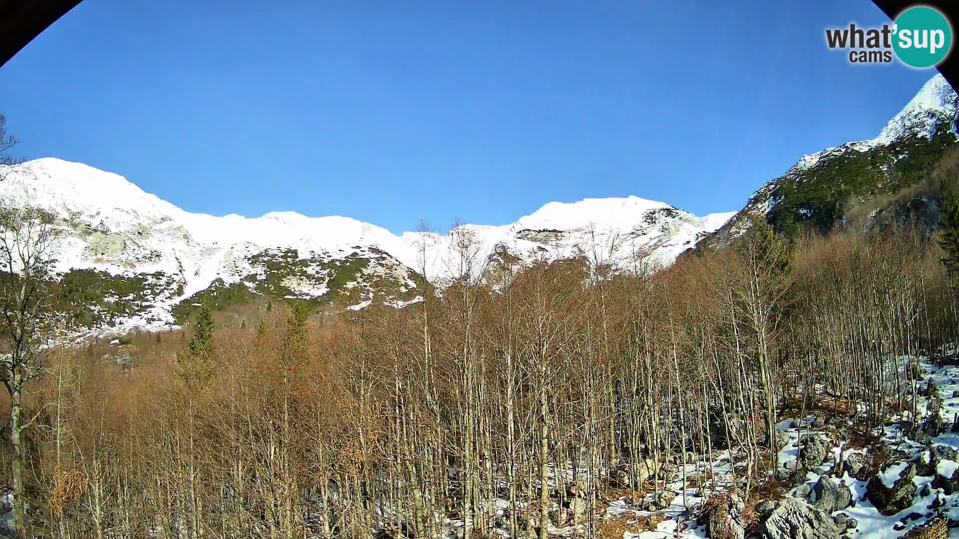 PLANINA RAZOR kamera (1315) | pogled na Vogel in Globoko