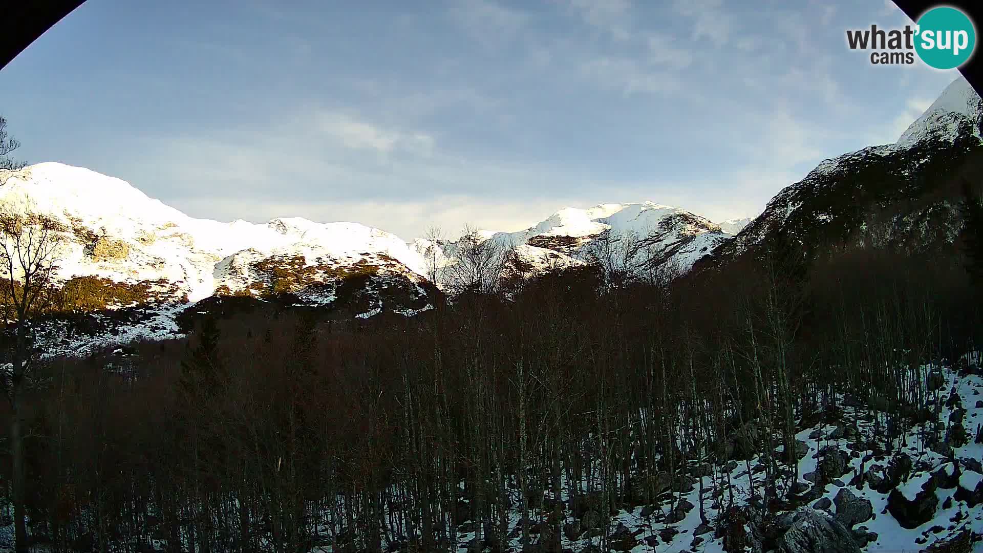 Webcam PLANINA RAZOR (1315) | Blick auf Vogel und Globoko
