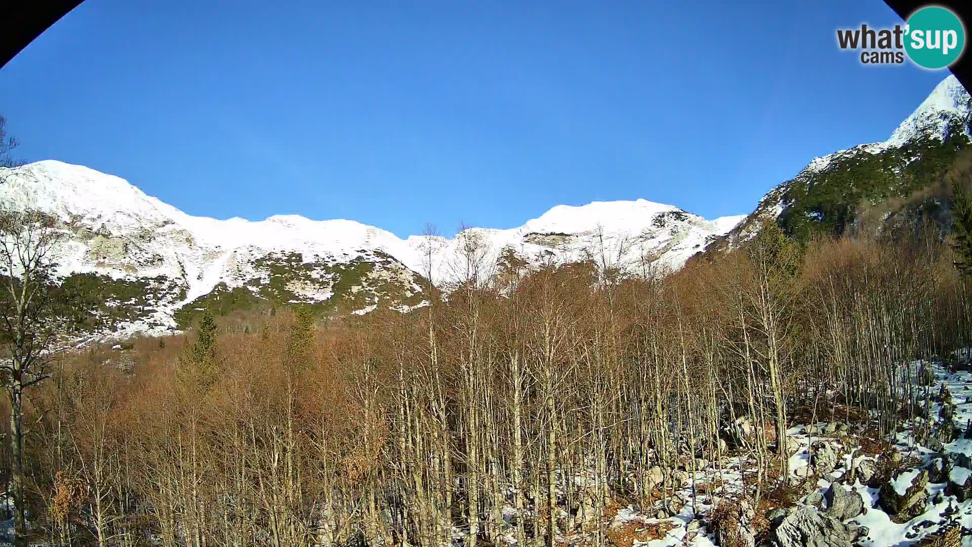 Cámara web PLANINA RAZOR (1315) | vista a Vogel y Globoko
