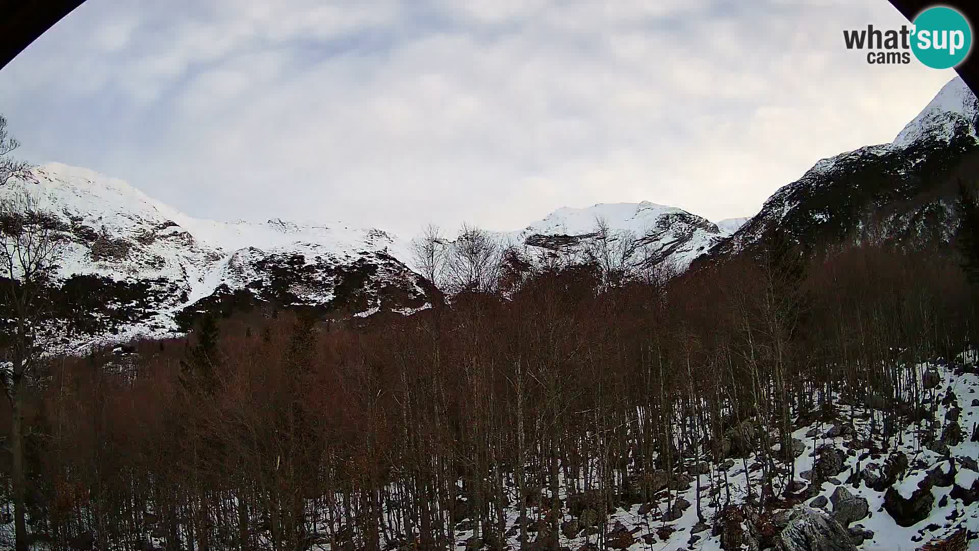 PLANINA RAZOR web kamera (1315) | pogled na Vogel i Globoko